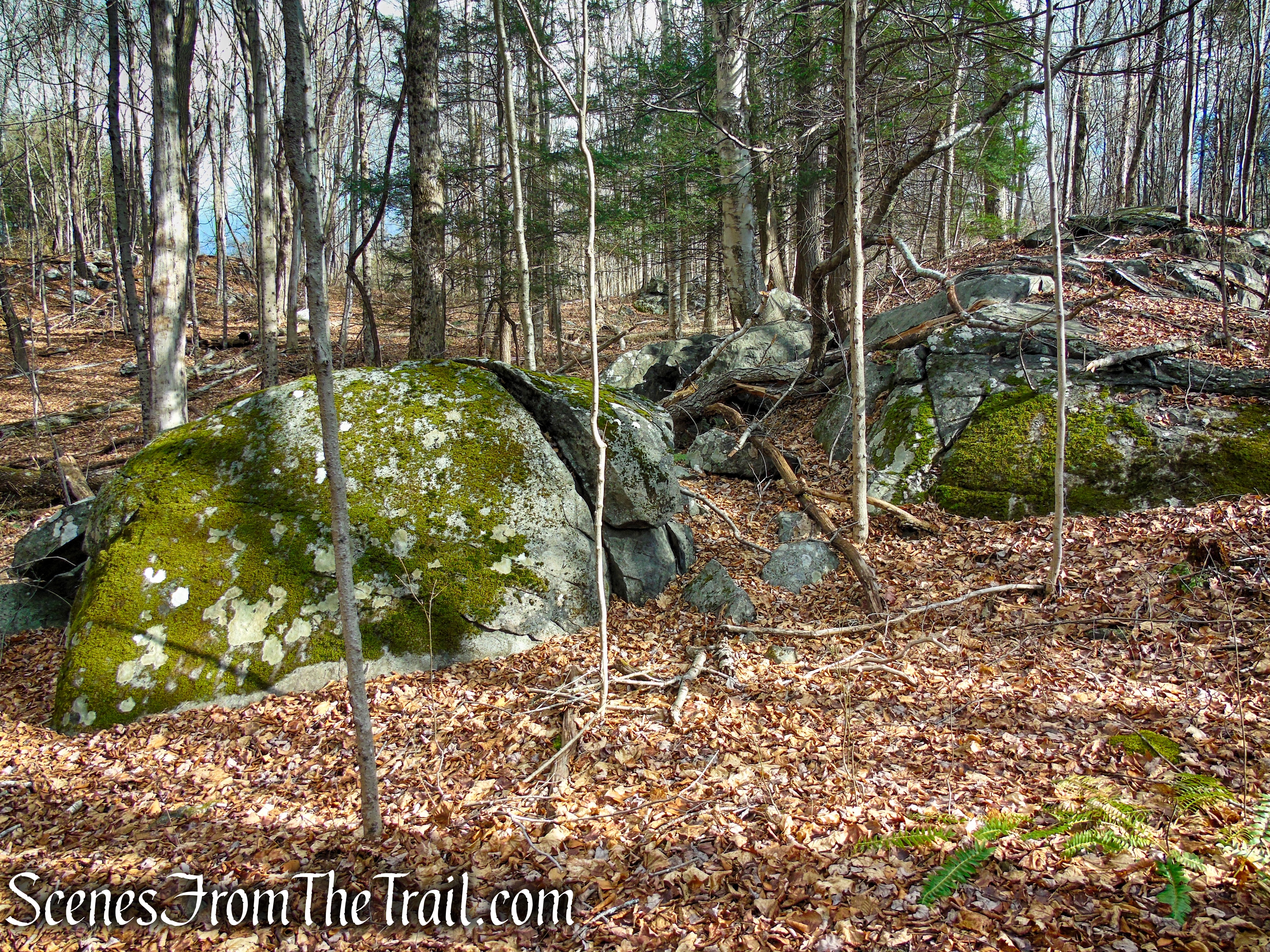 Red Trail – Prospect Mountain Preserve
