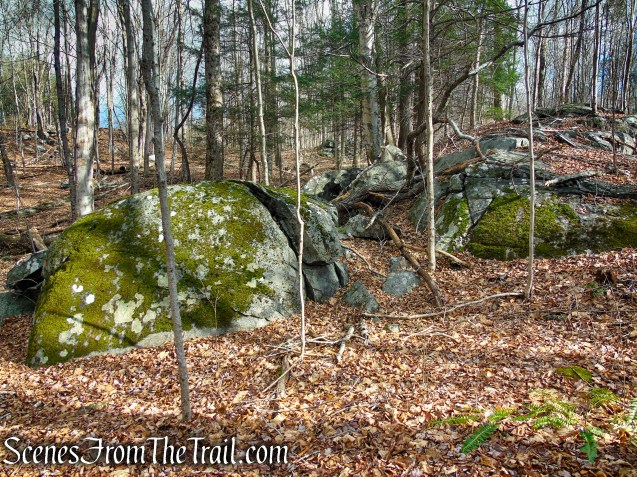 Red Trail – Prospect Mountain Preserve
