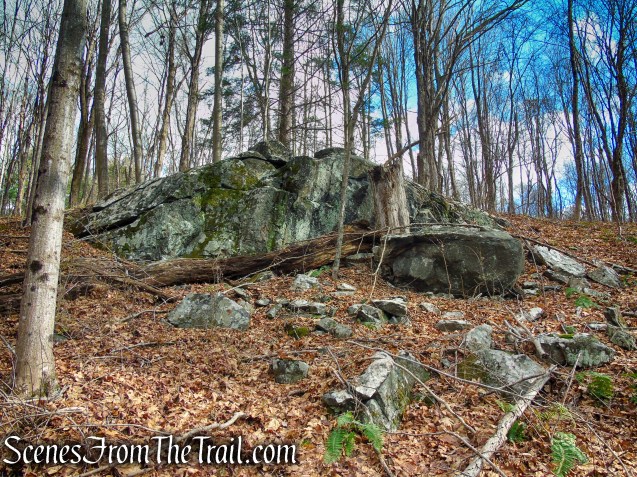 Red Trail – Prospect Mountain Preserve