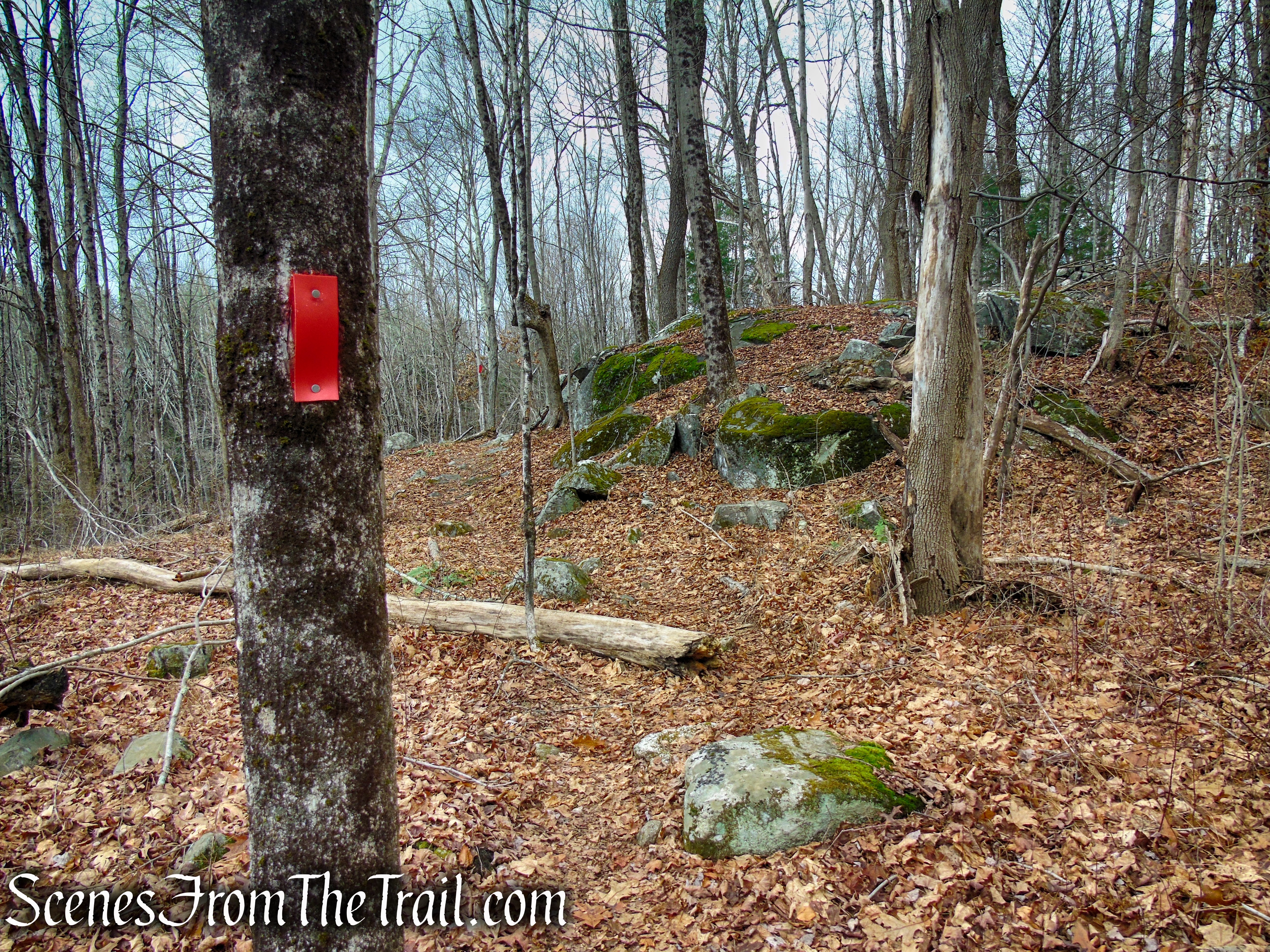 Red Trail – Prospect Mountain Preserve
