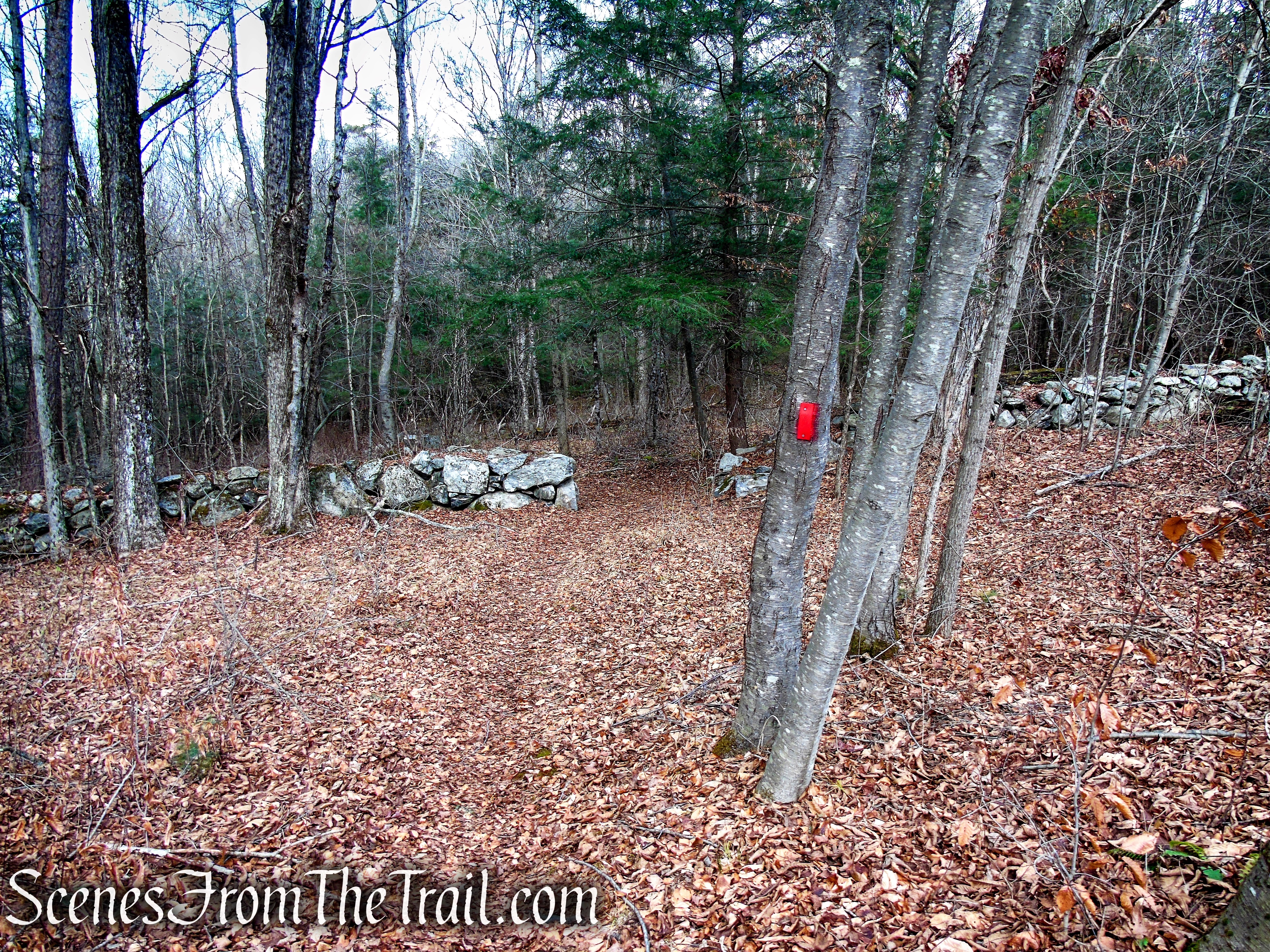 Red Trail – Prospect Mountain Preserve