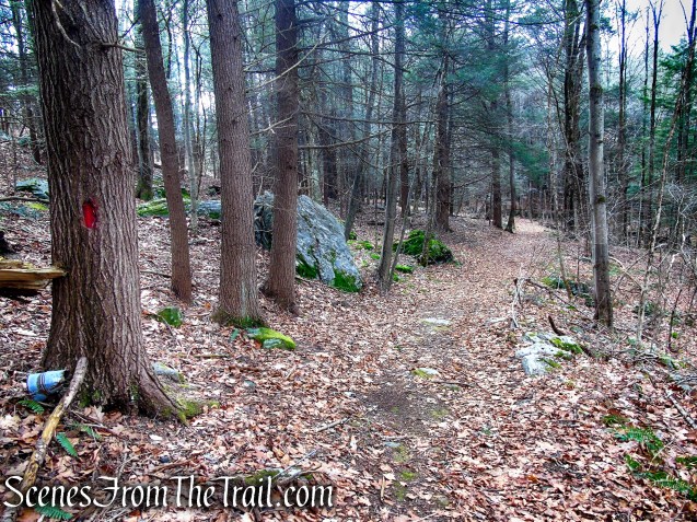 Red Trail – Prospect Mountain Preserve