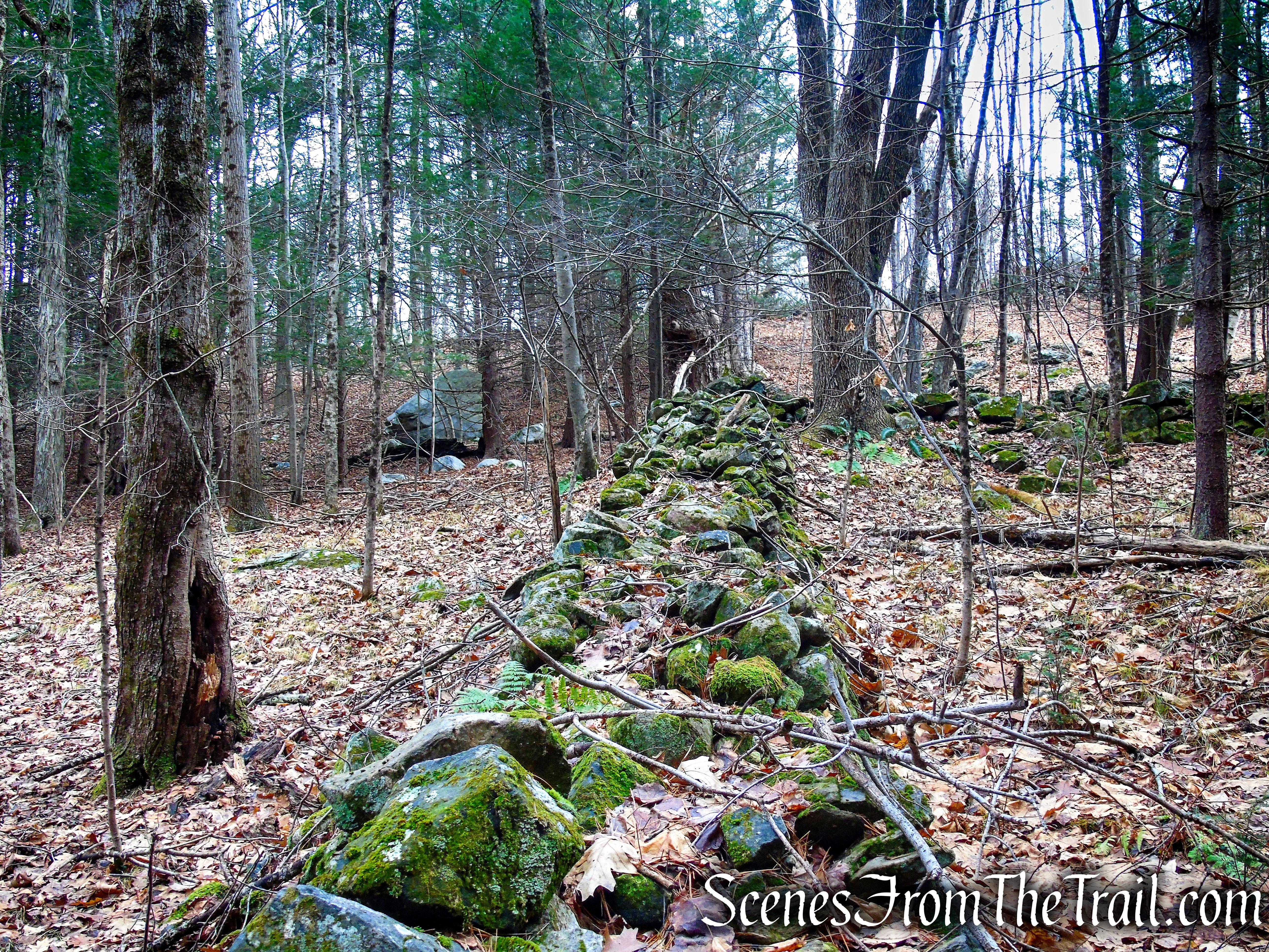 Red Trail – Prospect Mountain Preserve