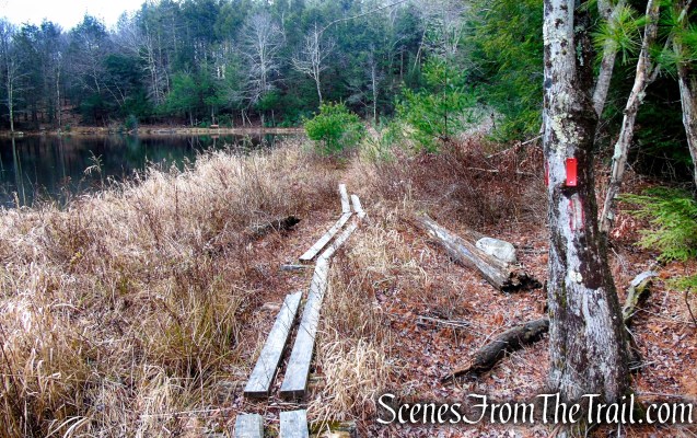 Red Trail – Prospect Mountain Preserve