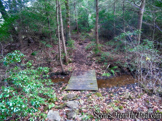 Red Trail – Prospect Mountain Preserve