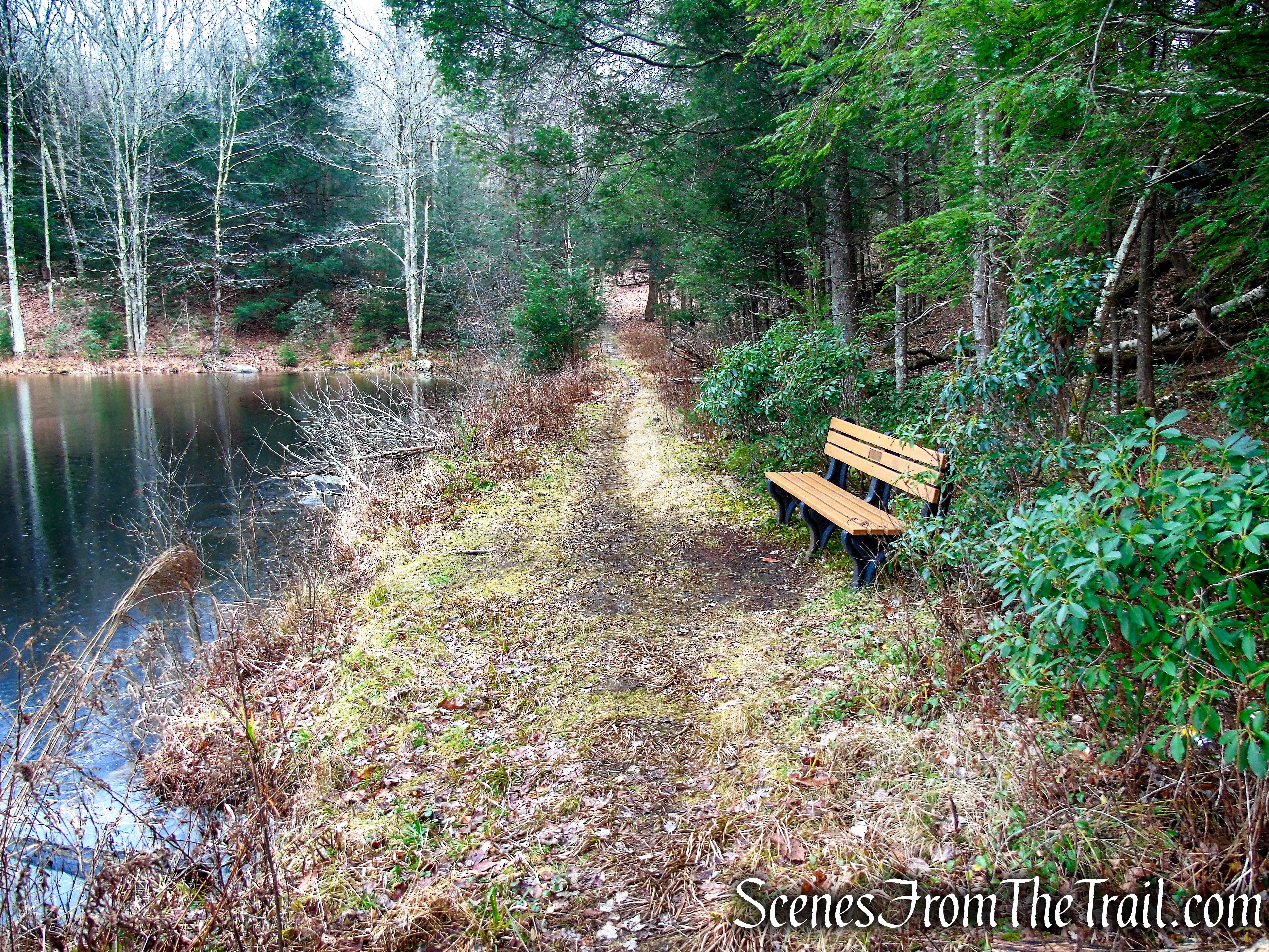Red Trail – Prospect Mountain Preserve