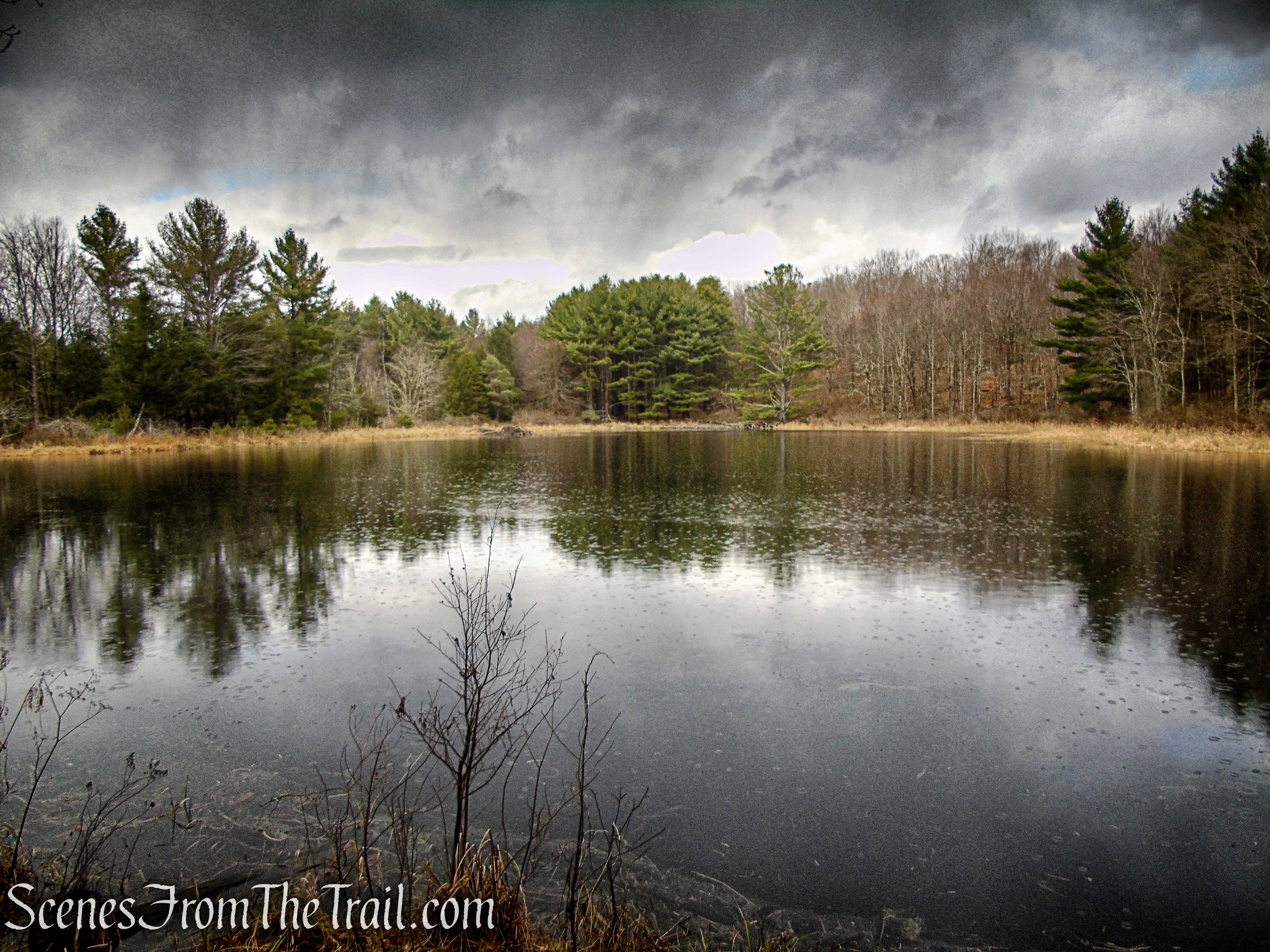 Granniss Pond – Prospect Mountain Preserve