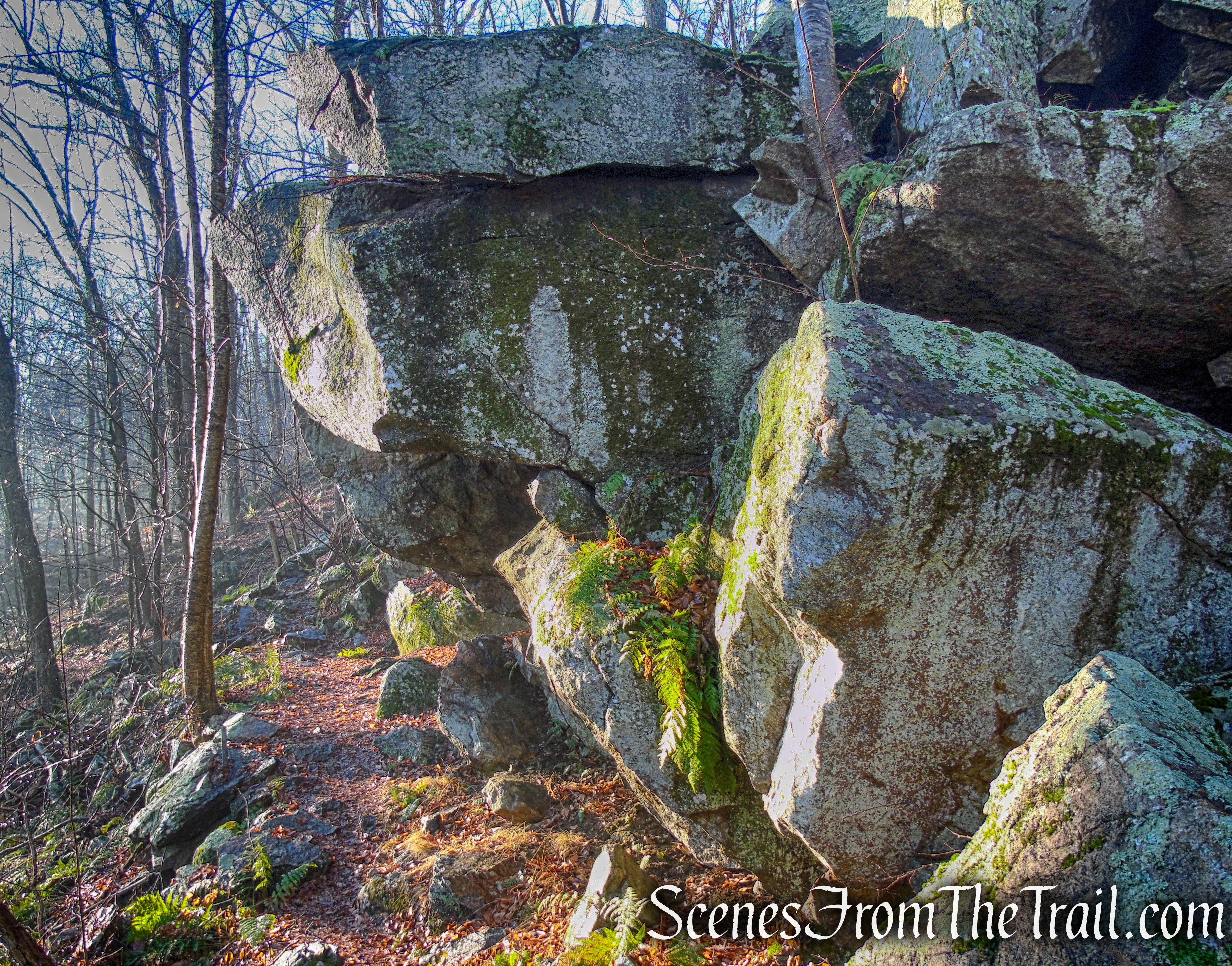 area near Philips Cave