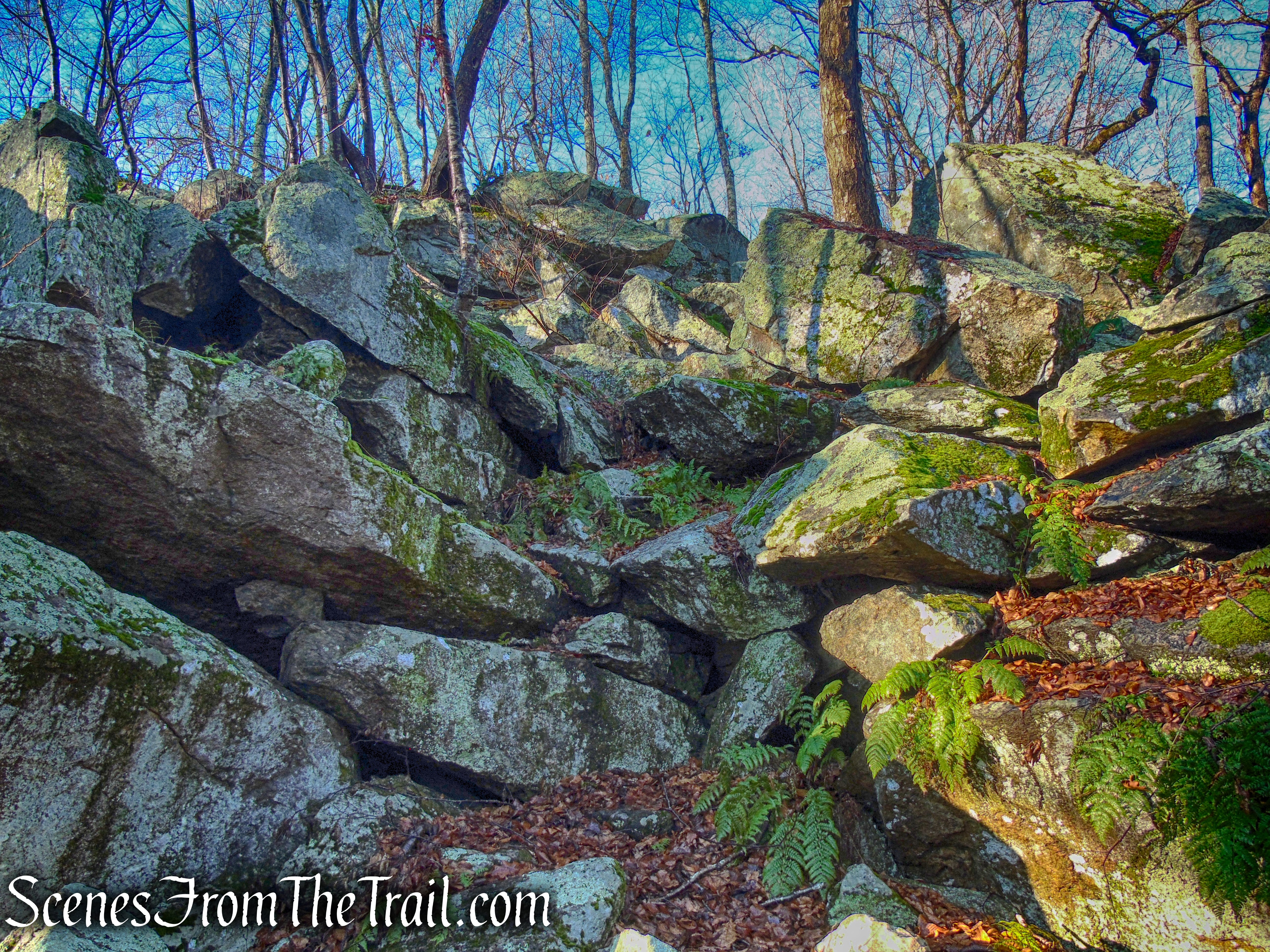 area near Philips Cave