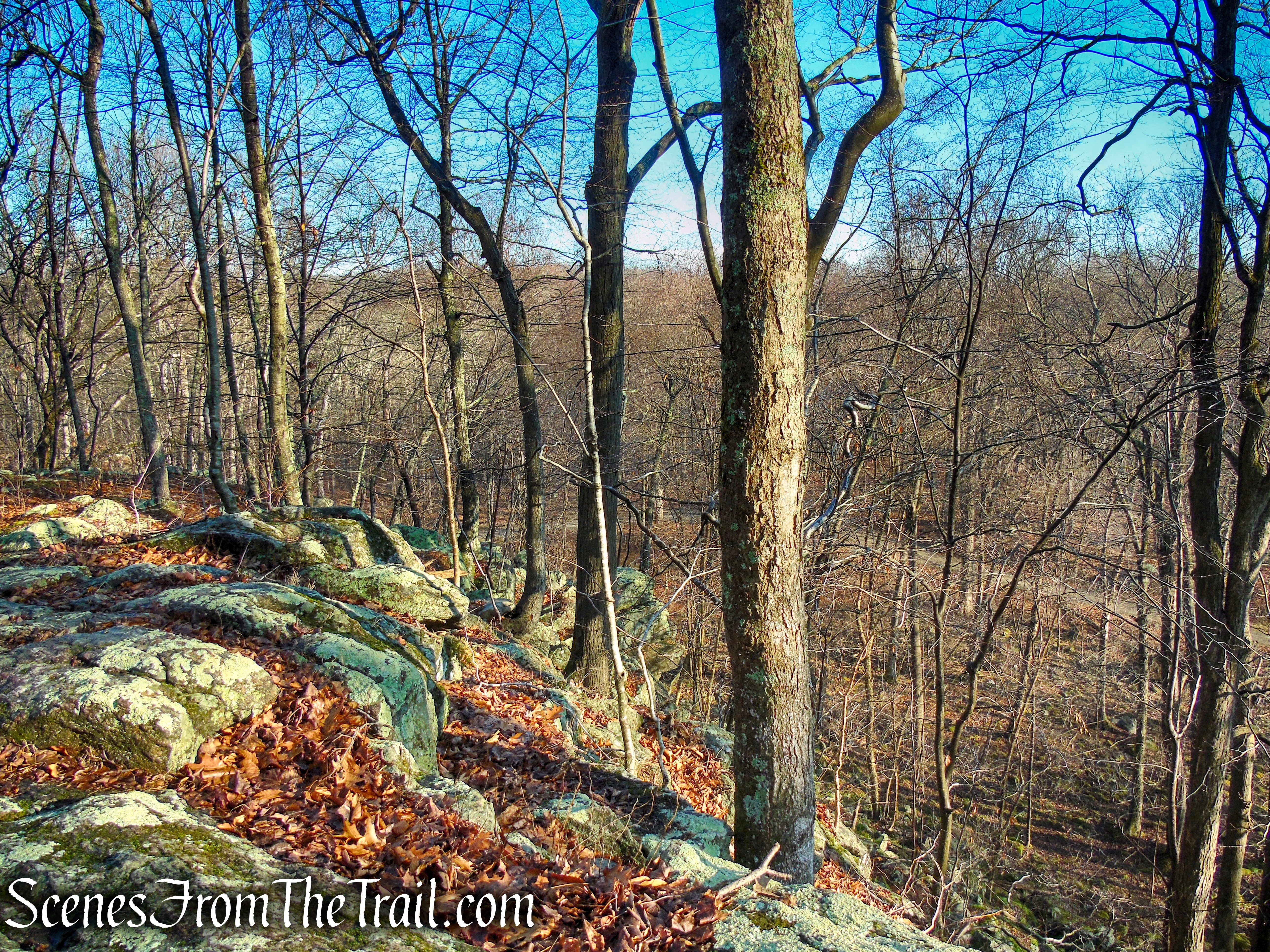 cliff above Philips Cave