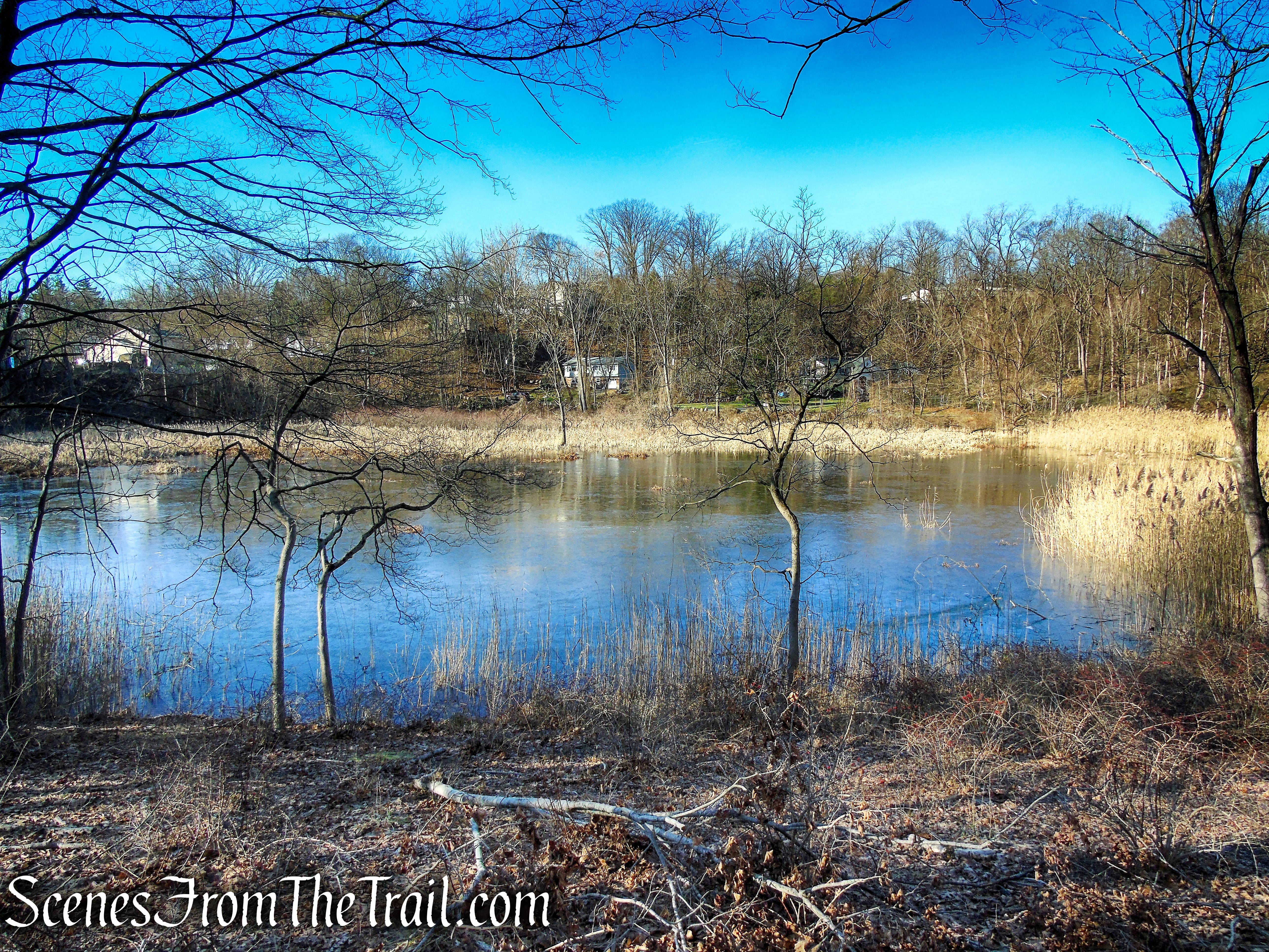 fresh water wetlands