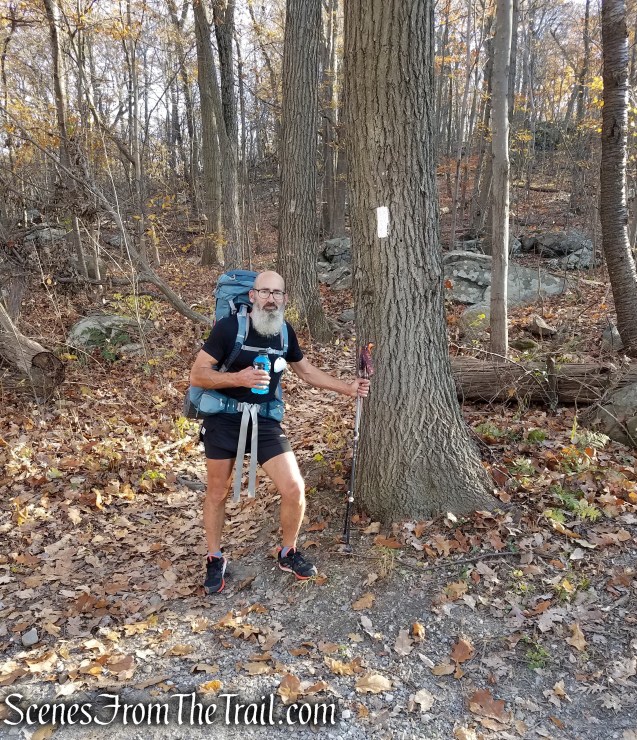 Trouble - AT south bounder