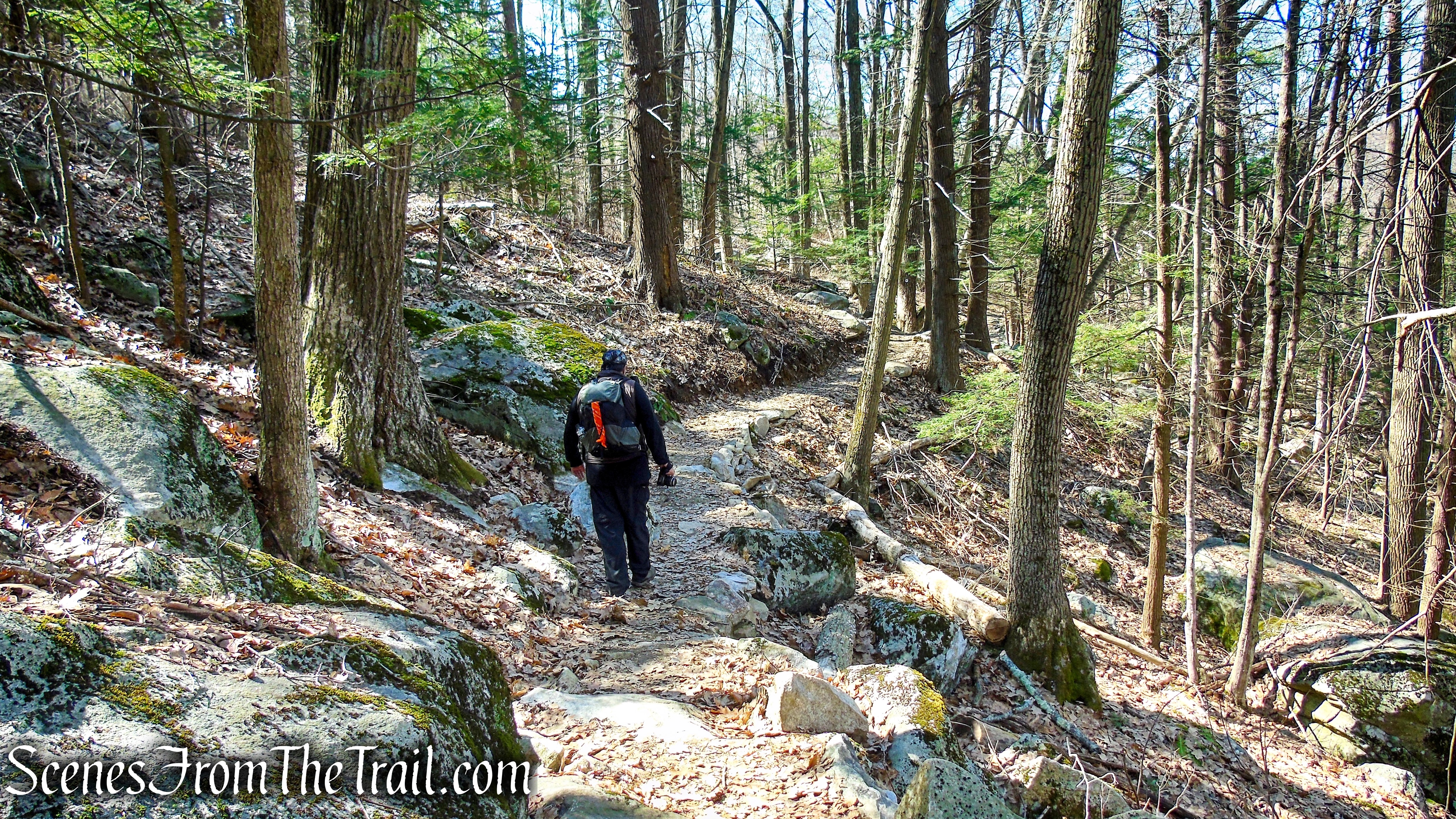 Red Mountain Trails – Sharon Land Trust