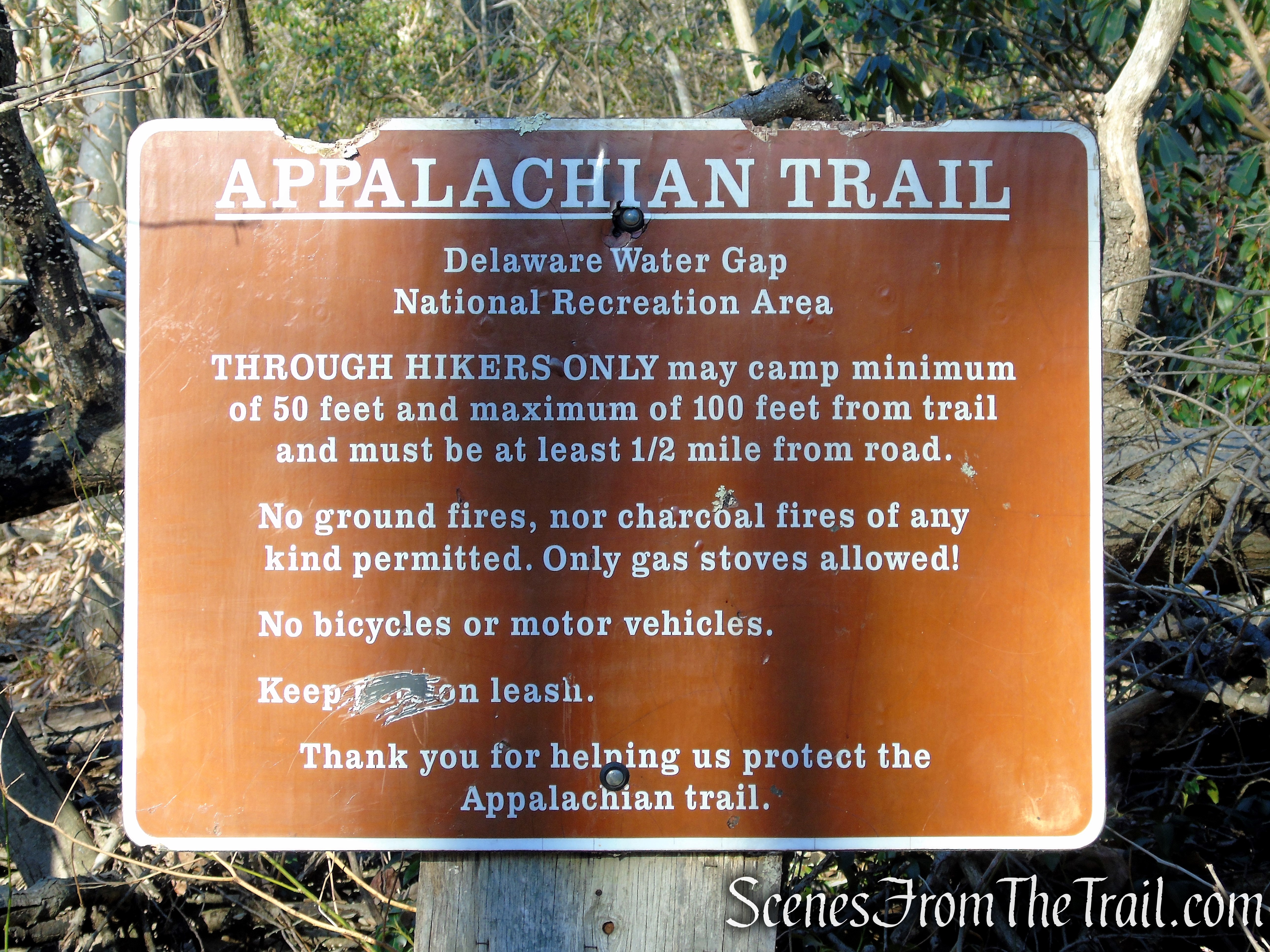 Appalachian Trail - Delaware Water Gap