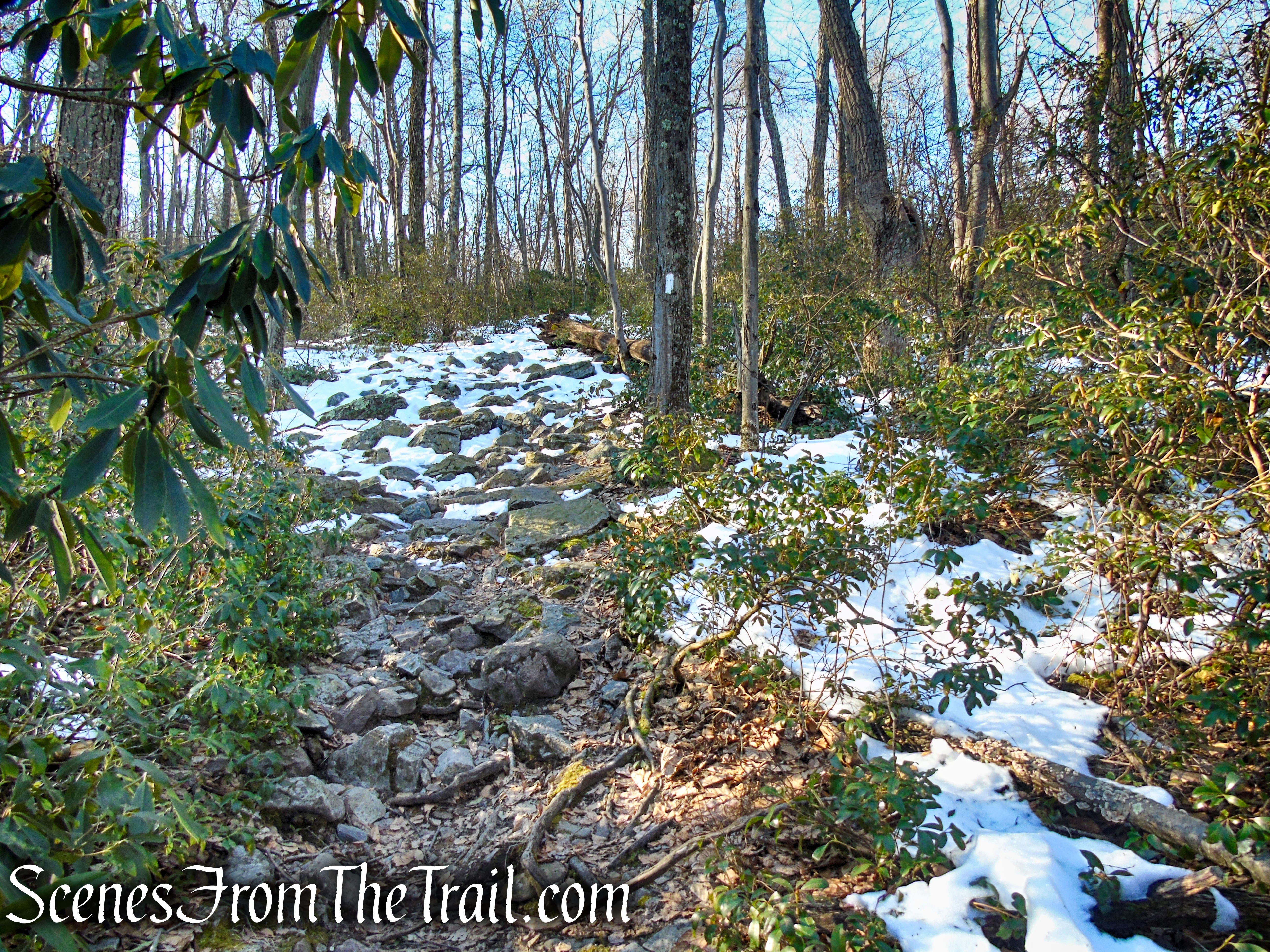 Appalachian Trail - Catfish Mountain