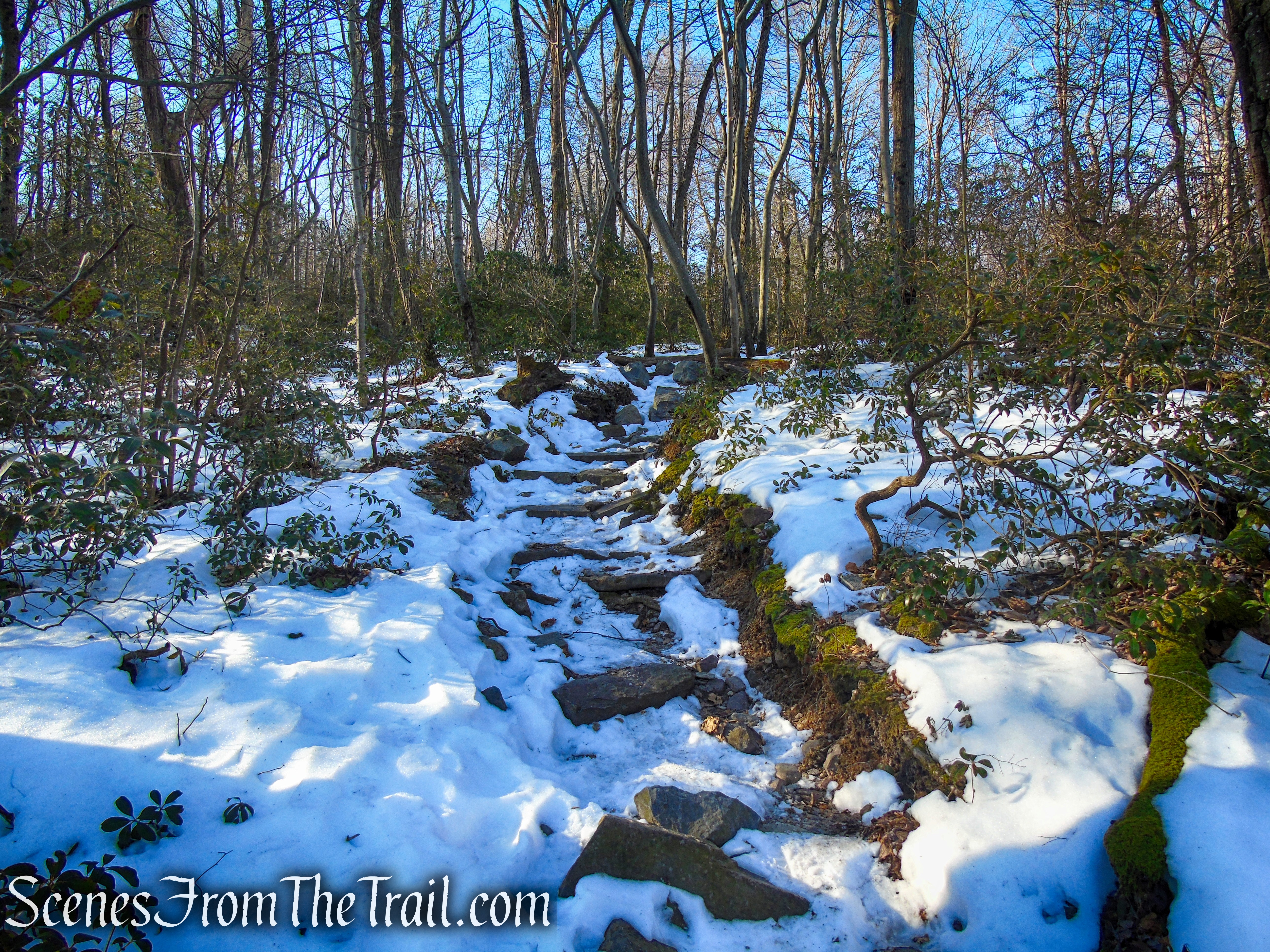 Appalachian Trail - Catfish Mountain