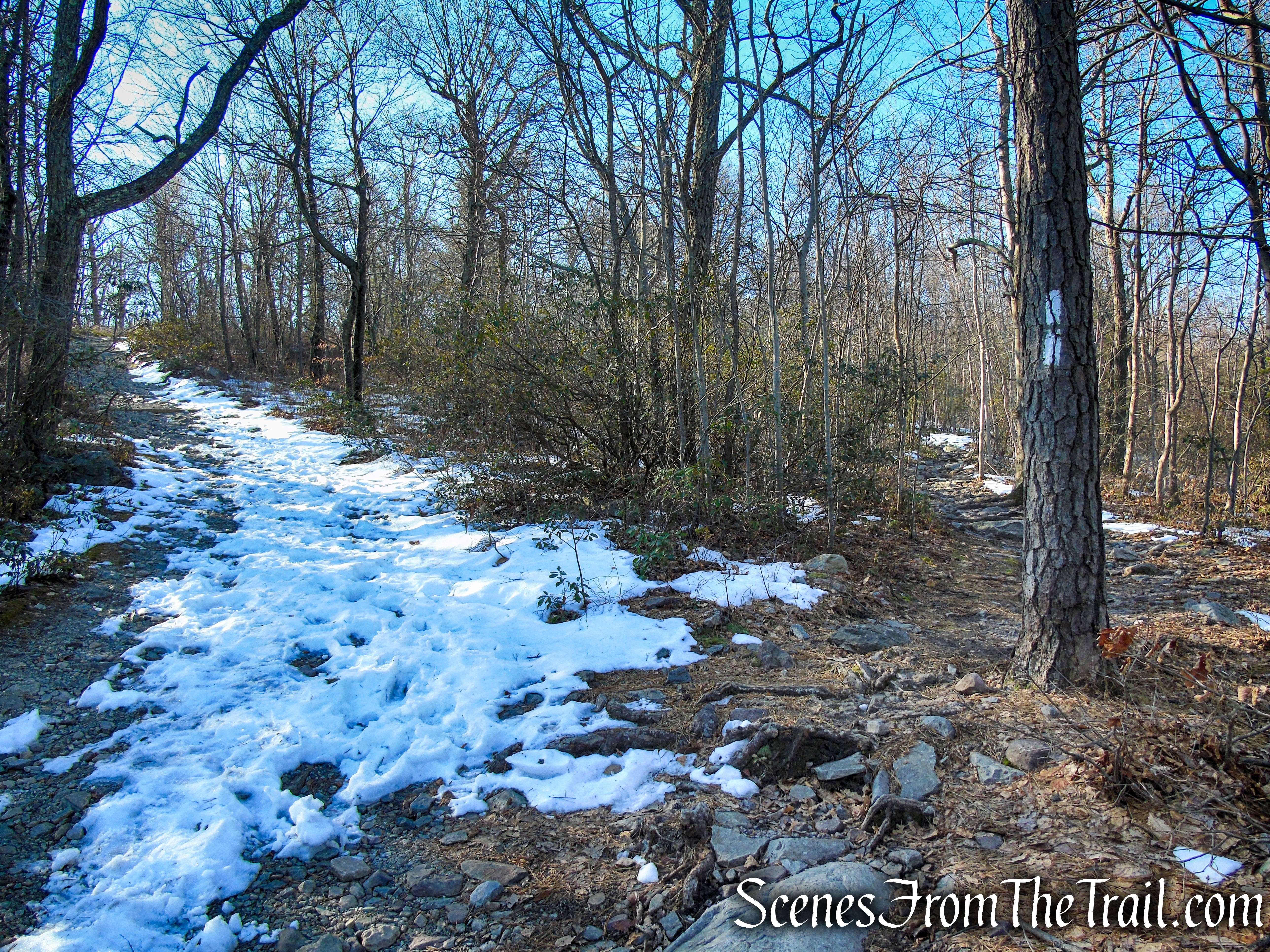Appalachian Trail turns right, leaving the fire road