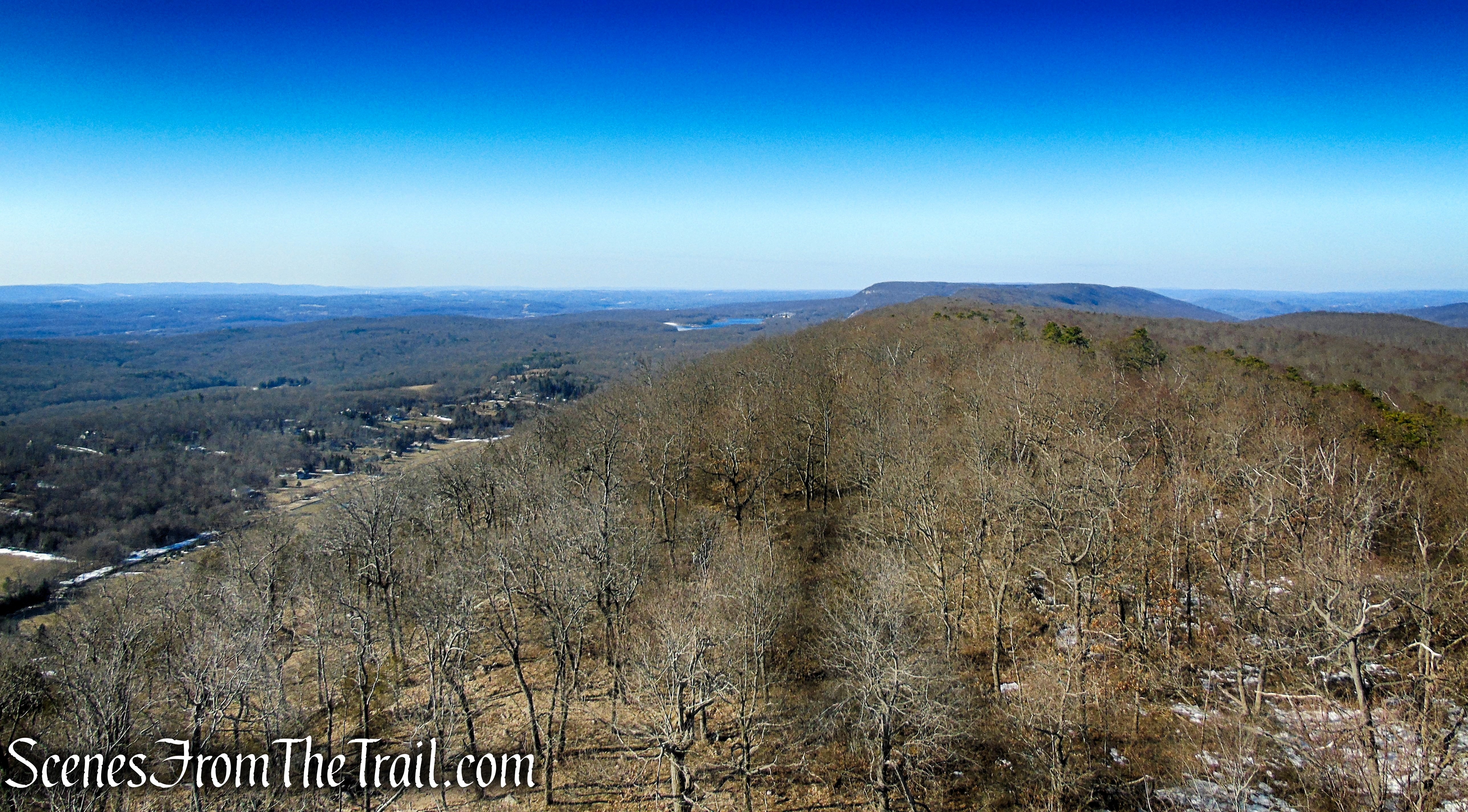 view southwest from Catfish Fire Tower
