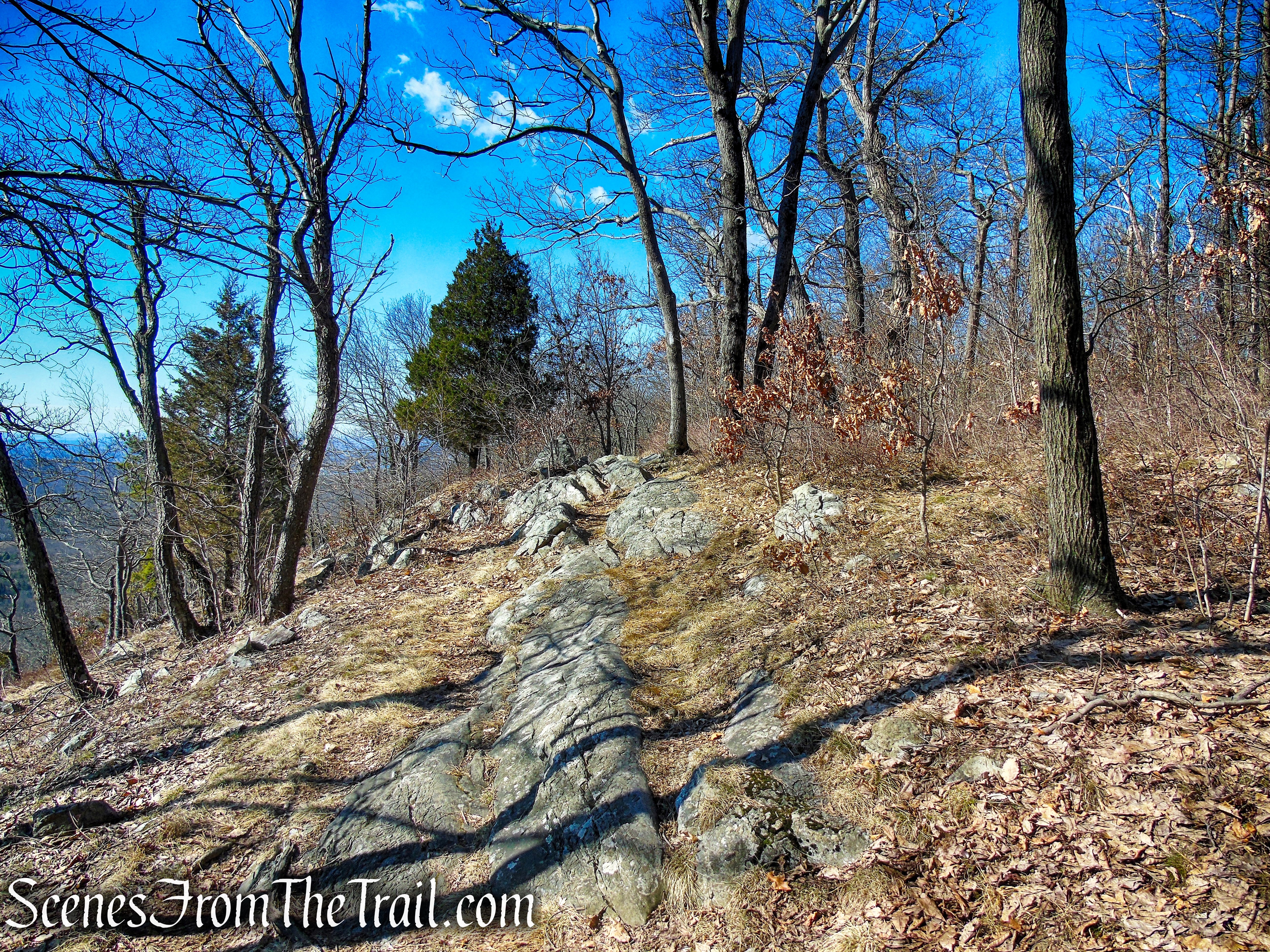 Appalachian Trail – Kittatinny Ridge