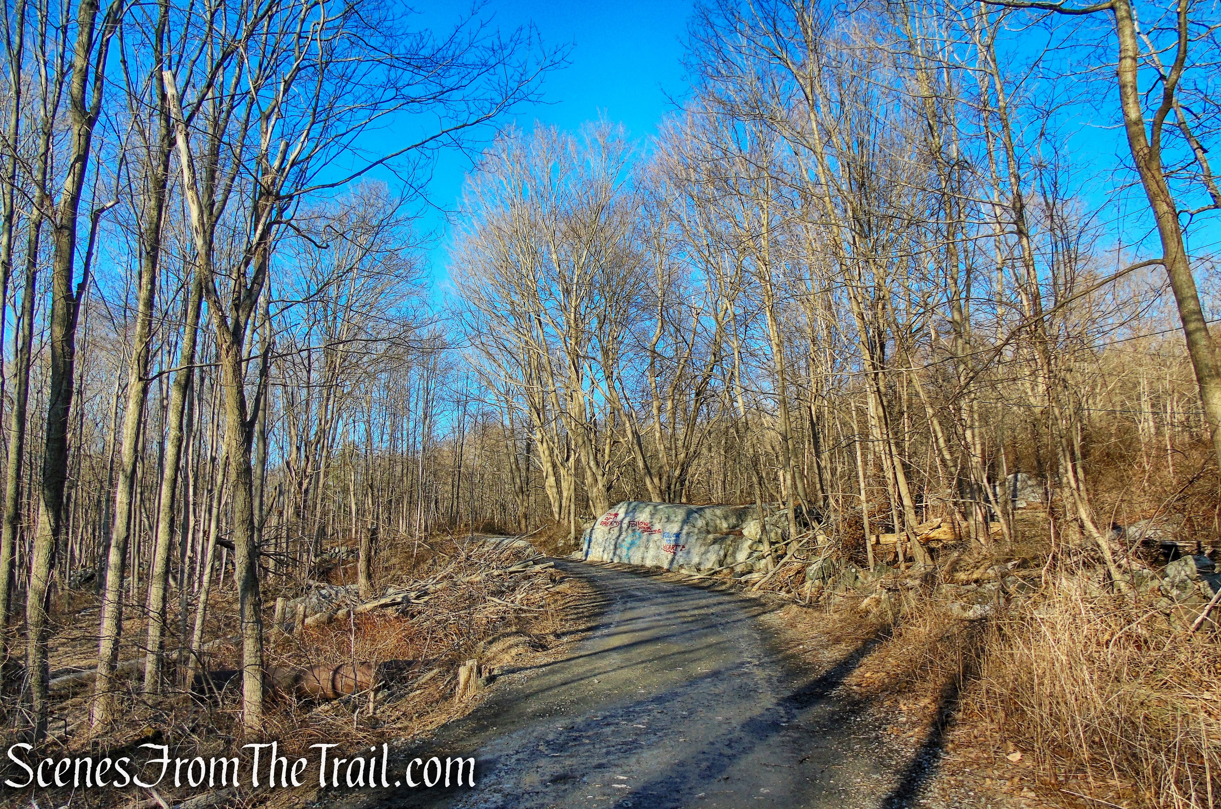 Tower Road - Nimham Mountain Multiple Use Area