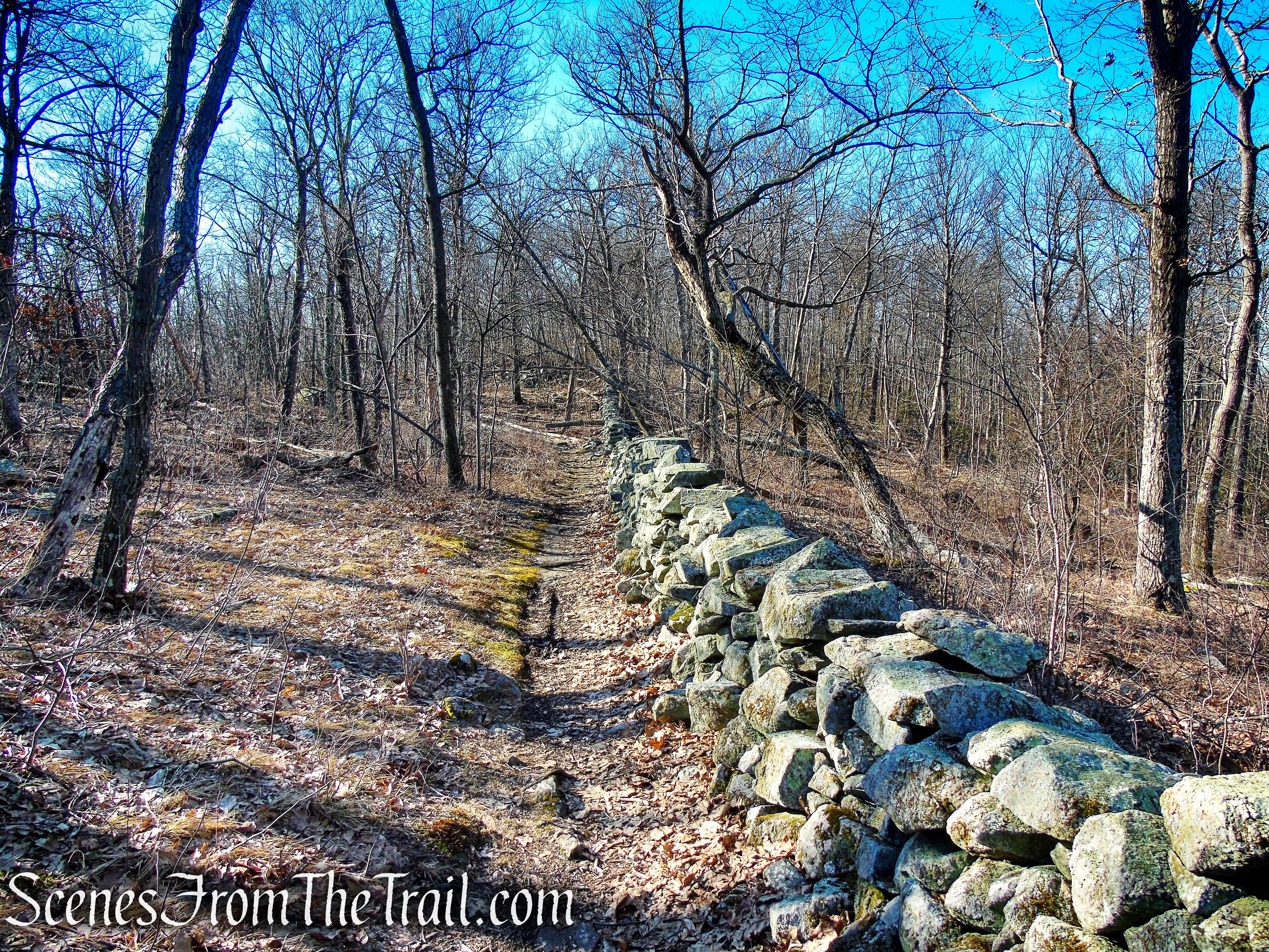 Blue Trail - Nimham Mountain Multiple Use Area