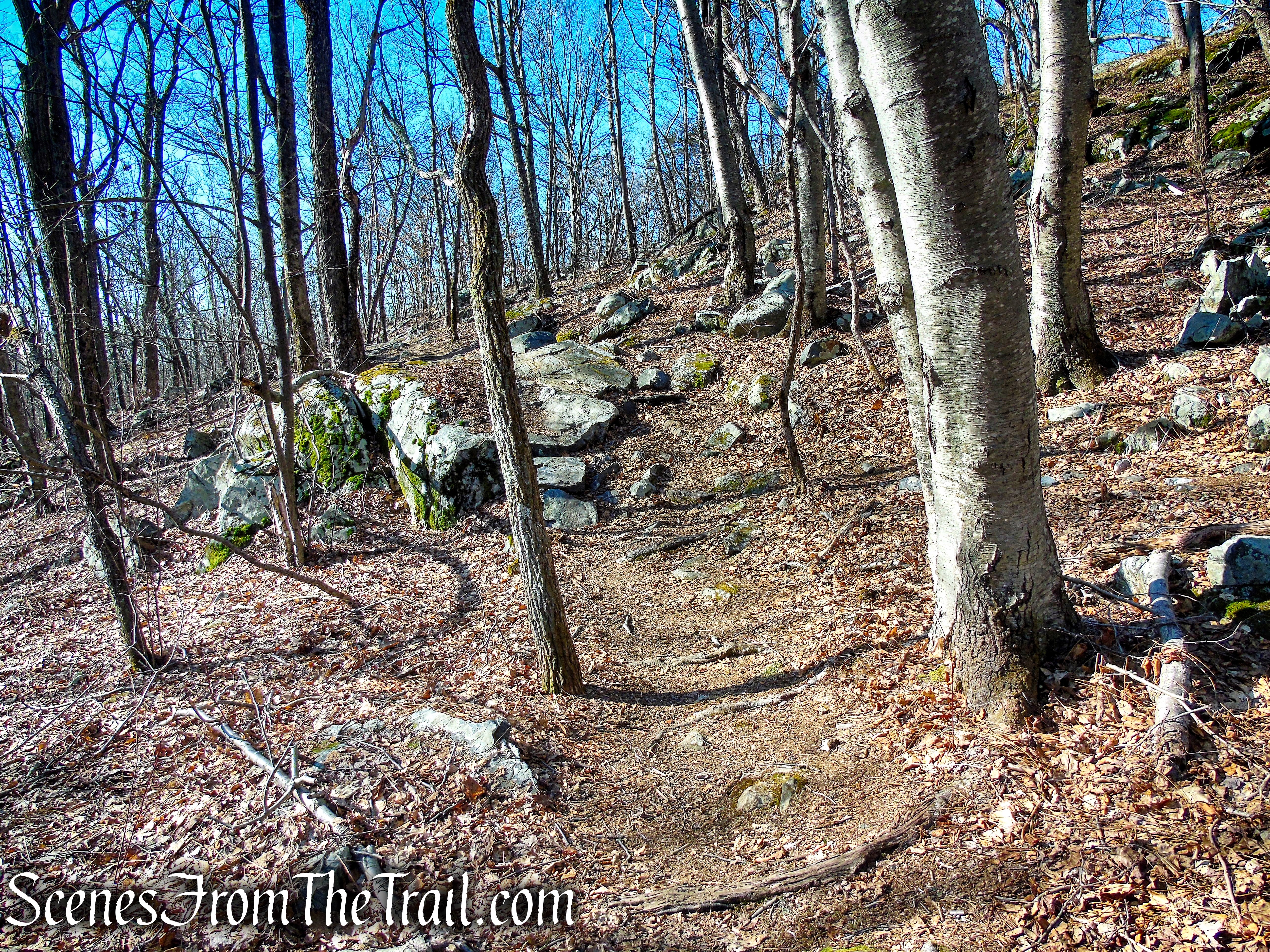 Blue Trail – Nimham Mountain Multiple Use Area