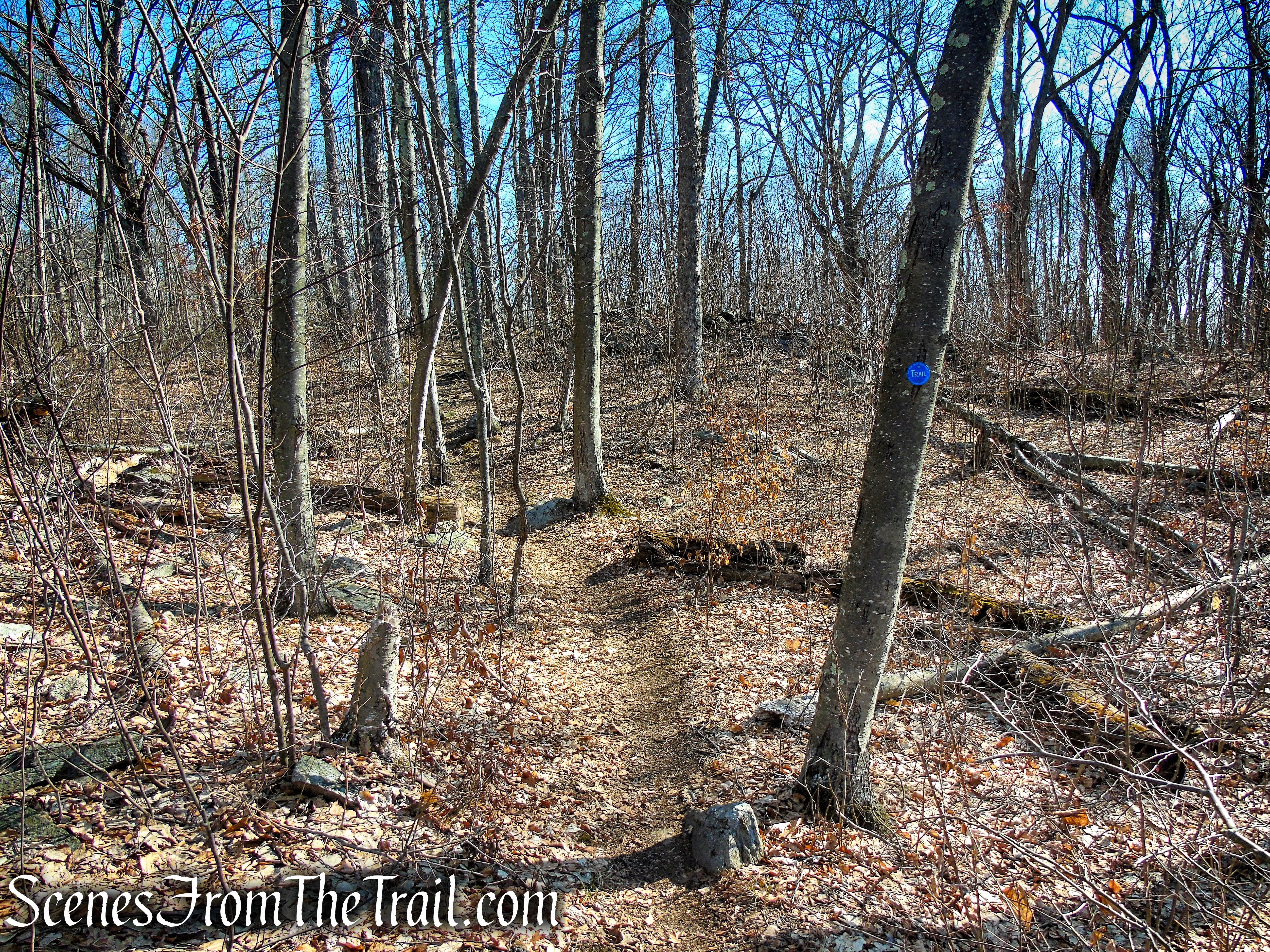 Blue Trail – Nimham Mountain Multiple Use Area