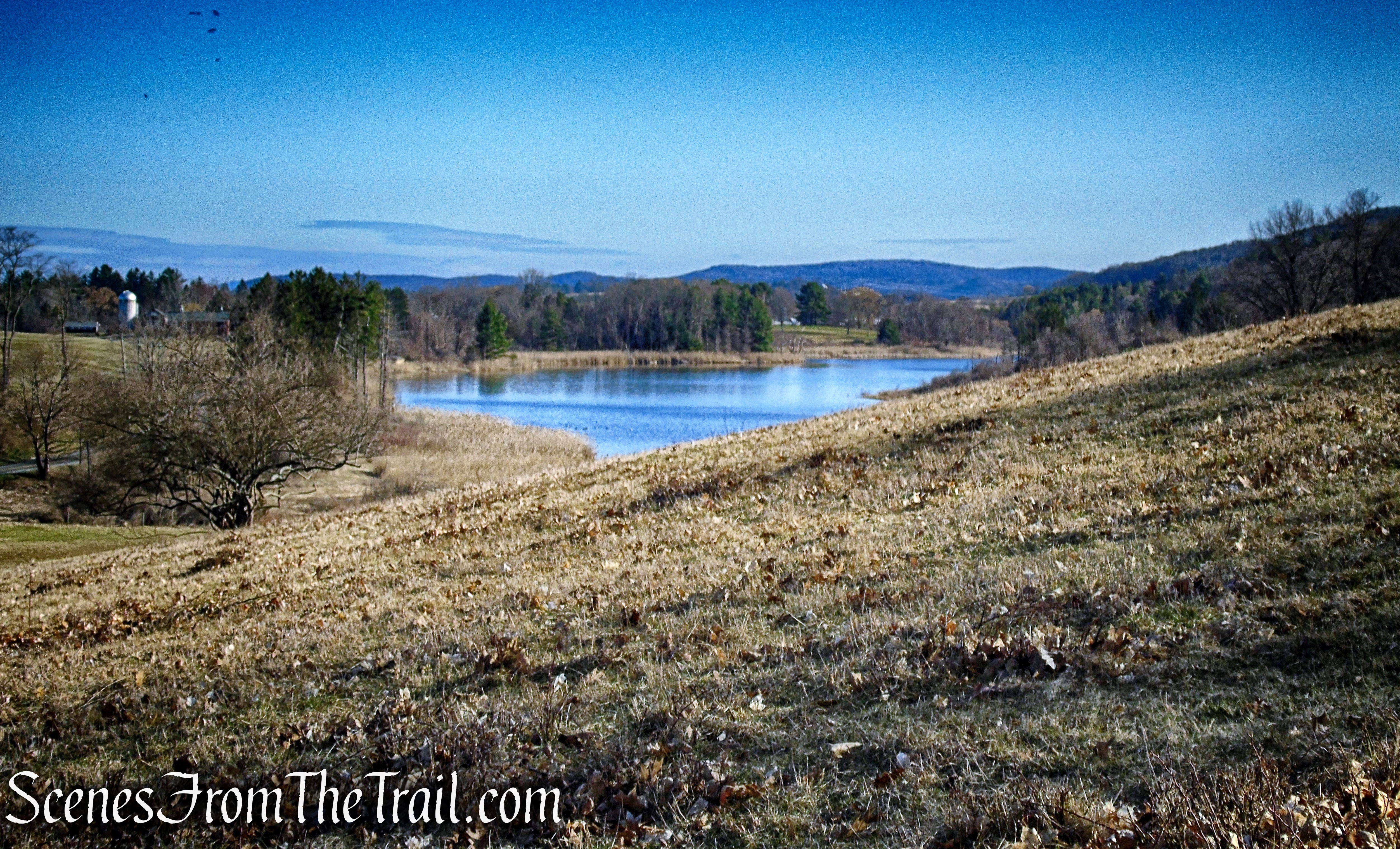 Beardsley Pond as viewed from the Mary Moore Lookout Trail