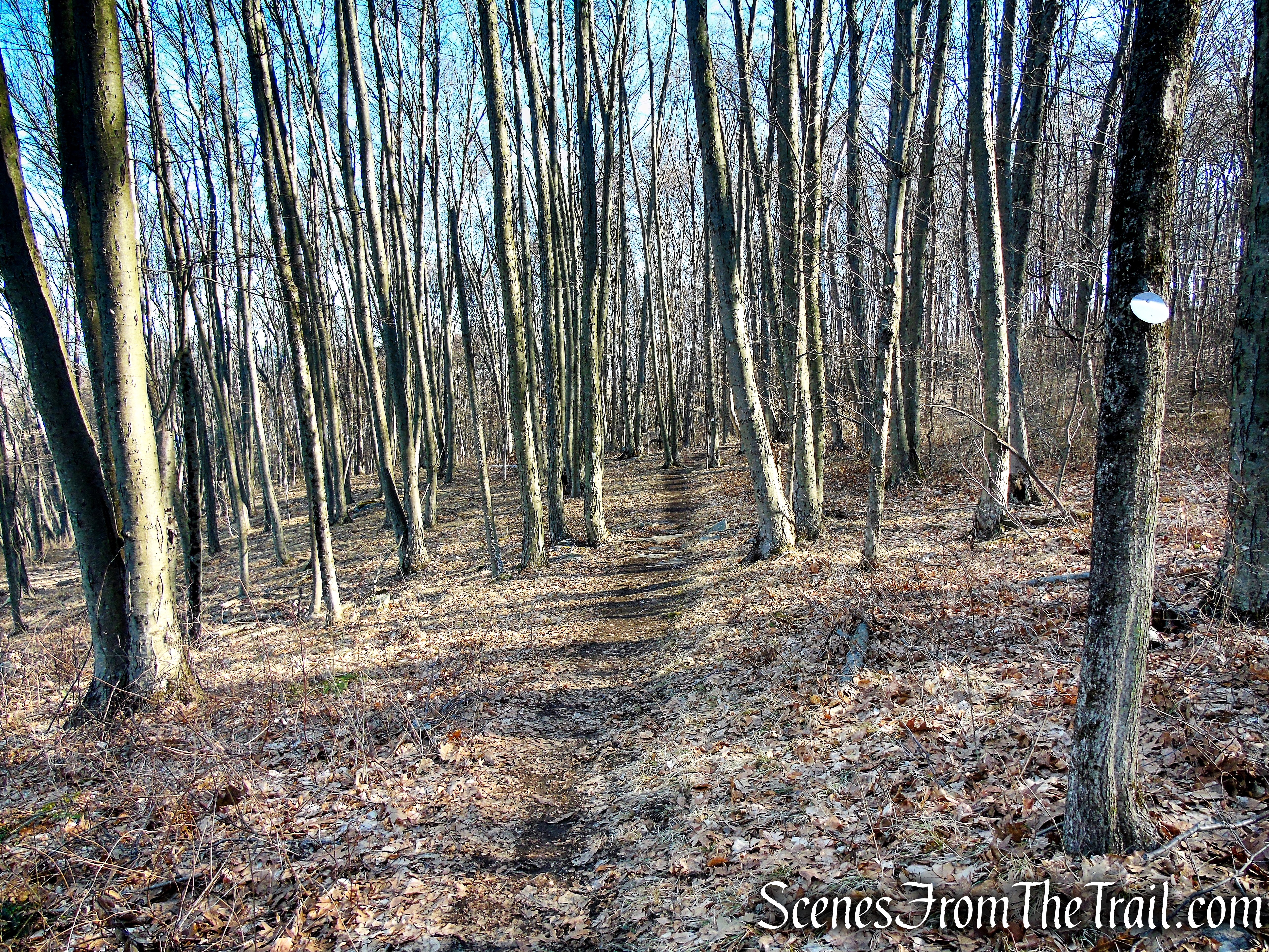 Mary Moore Lookout Trail - Sharon Land Trust