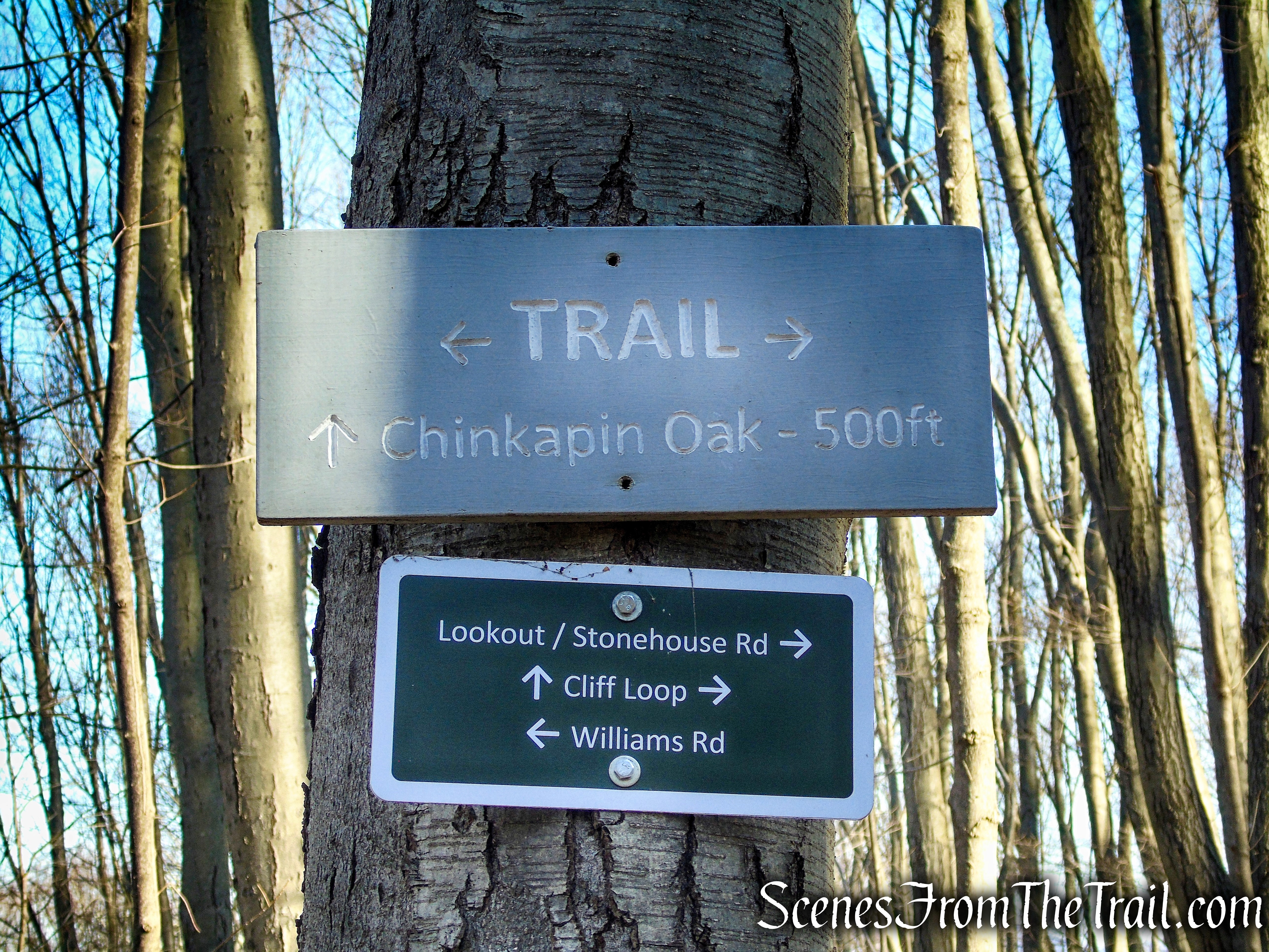 Mary Moore Lookout Trail - Sharon Land Trust