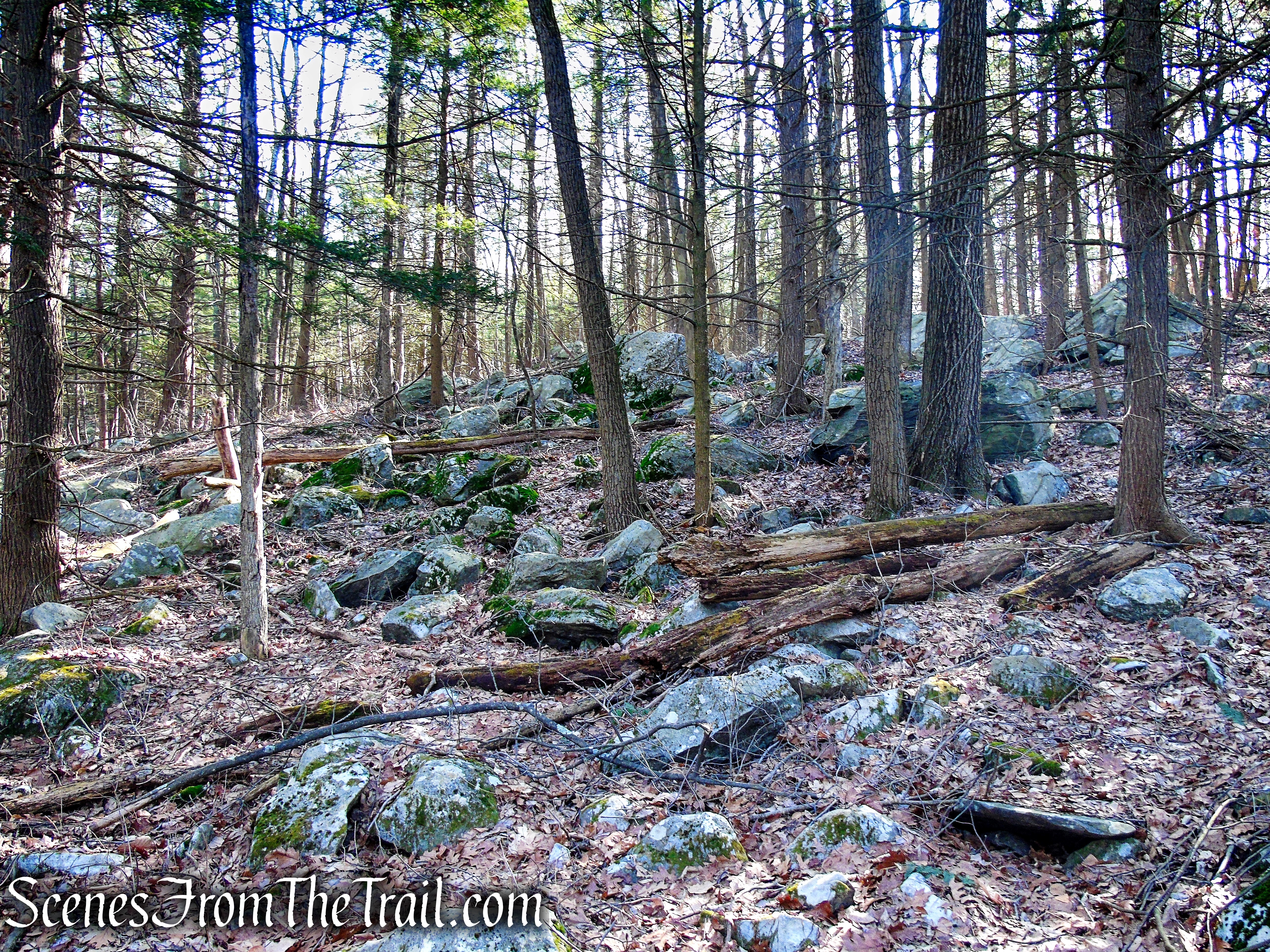 Mary Moore Lookout Trail - Sharon Land Trust