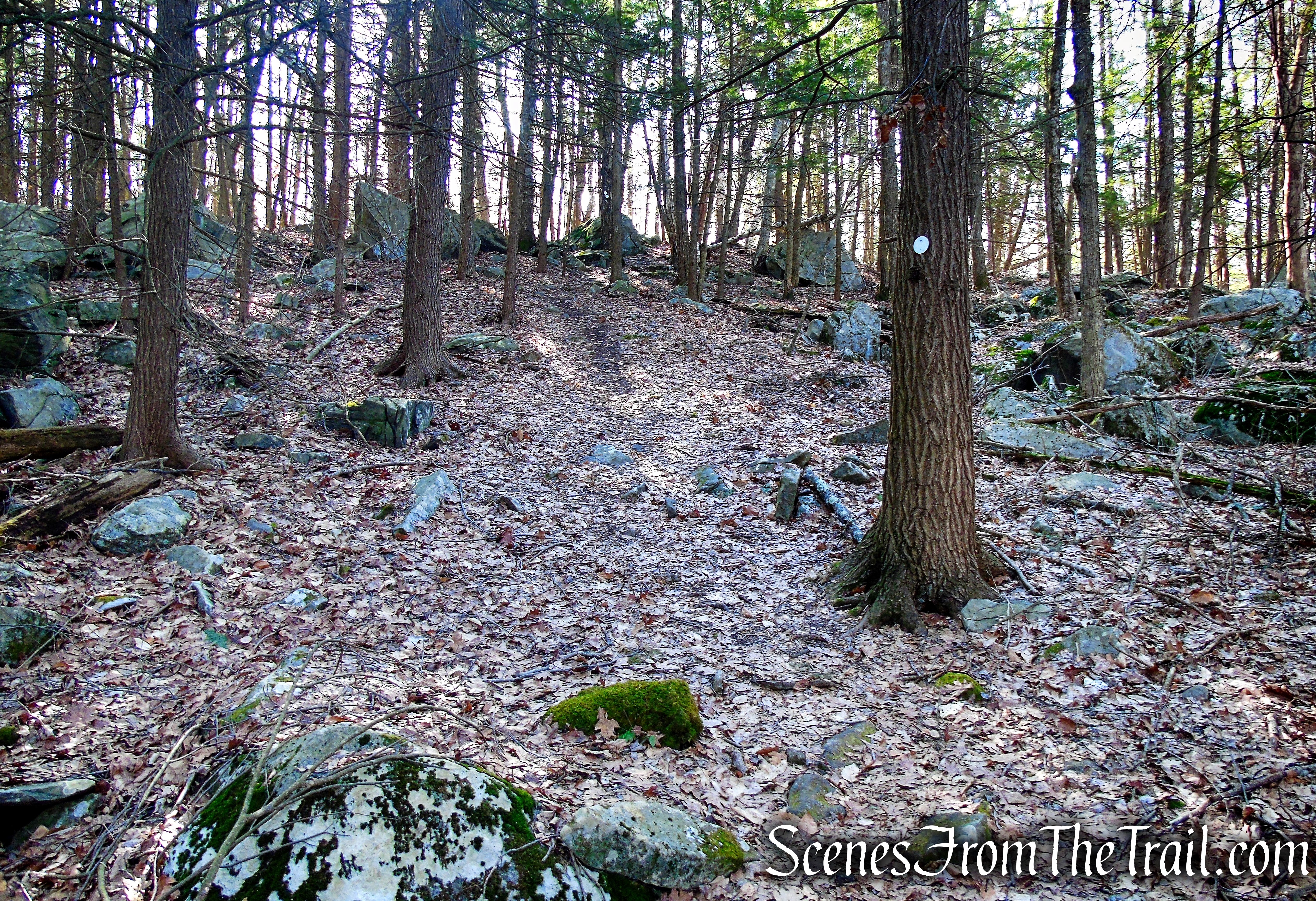 Mary Moore Lookout Trail - Sharon Land Trust