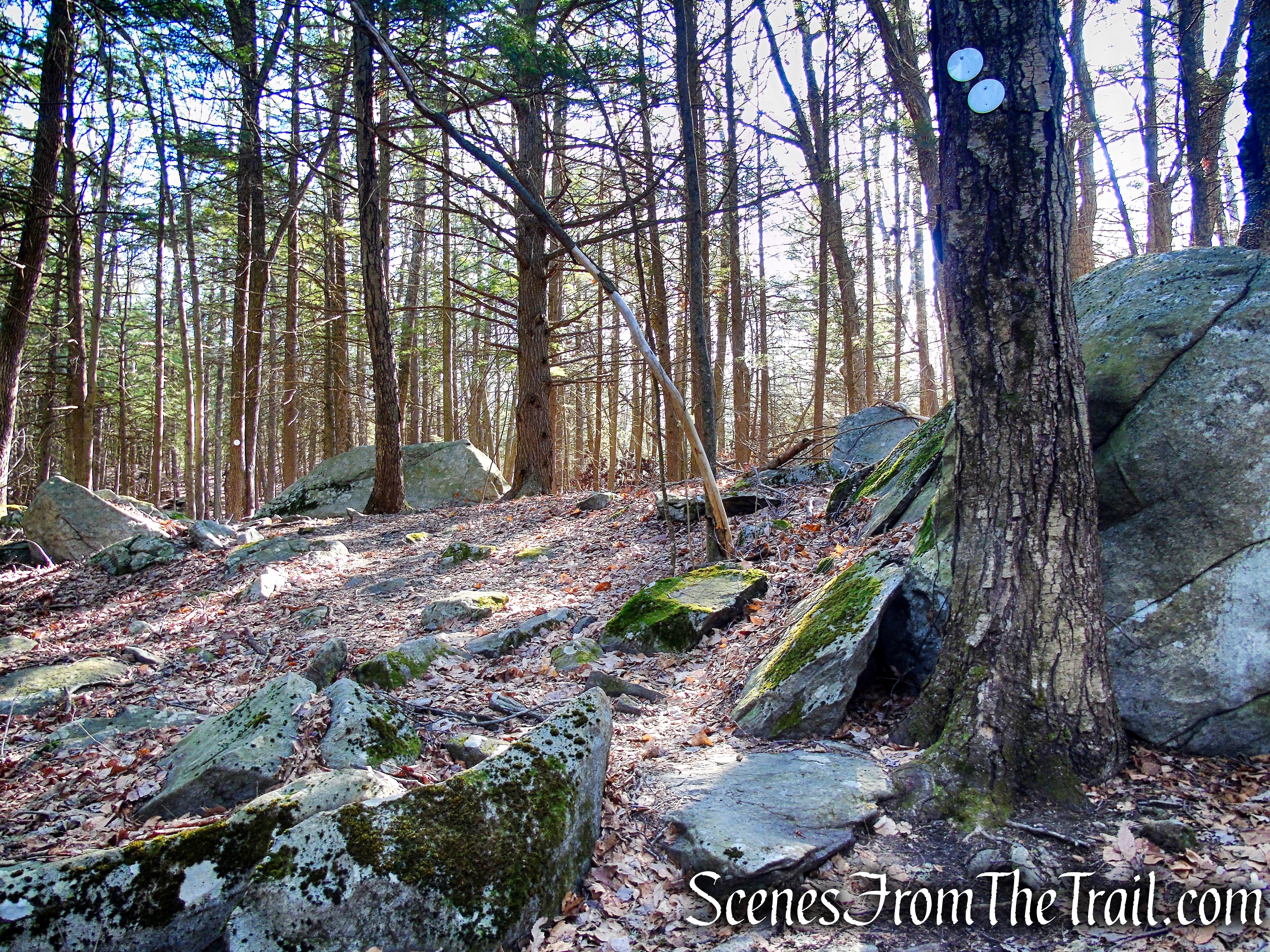 Mary Moore Lookout Trail - Sharon Land Trust