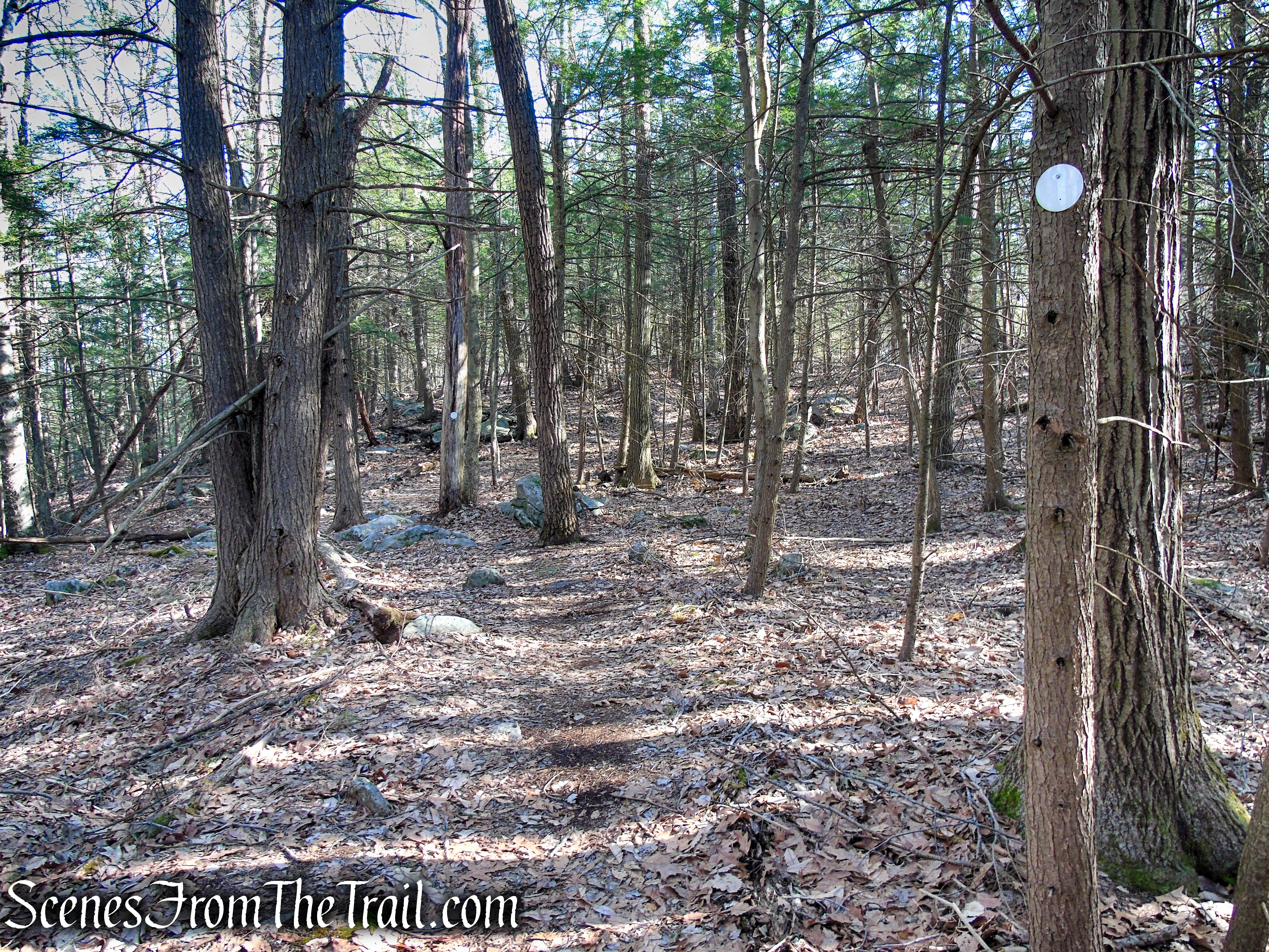 Mary Moore Lookout Trail - Sharon Land Trust