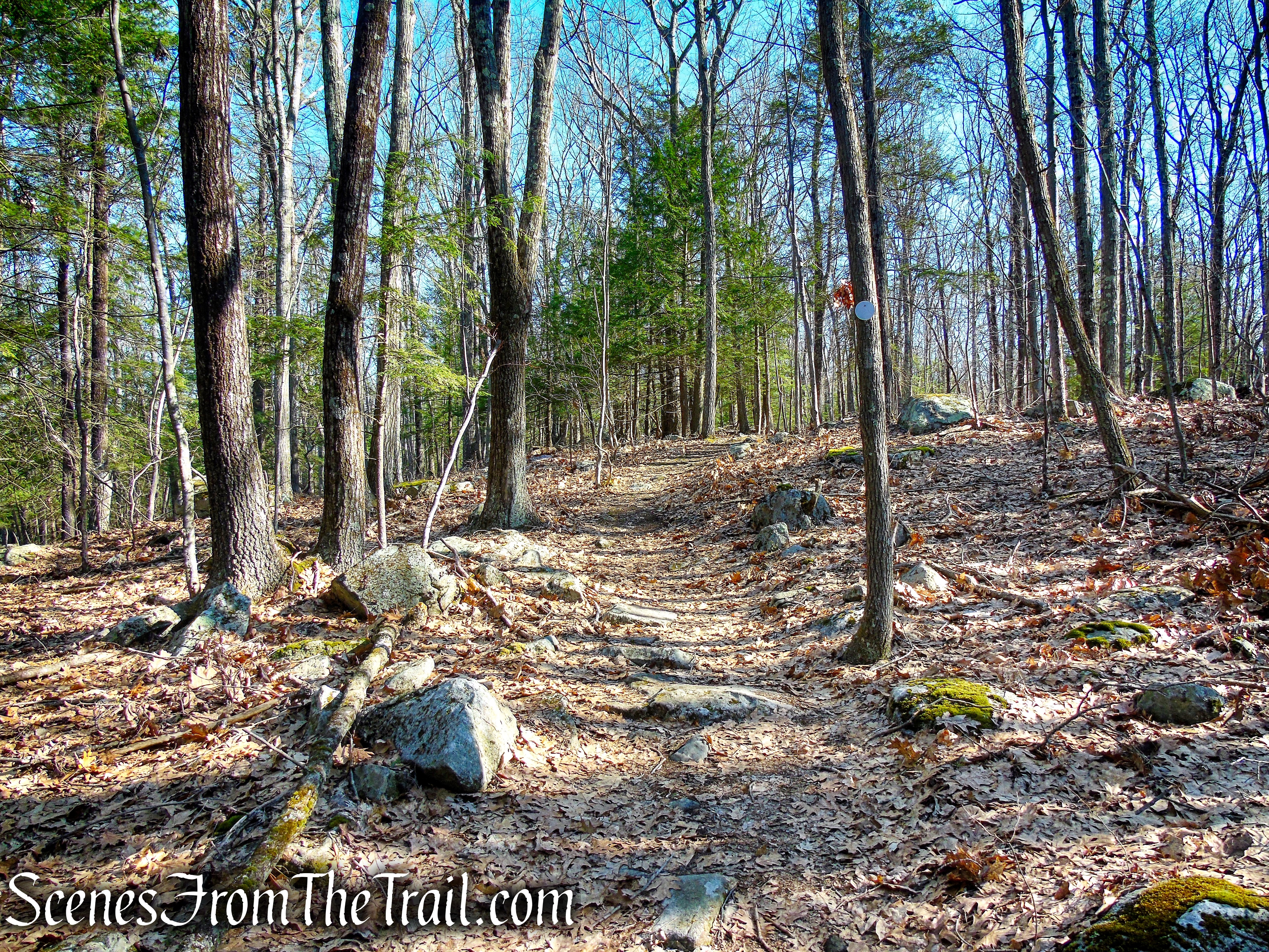 Mary Moore Lookout Trail - Sharon Land Trust