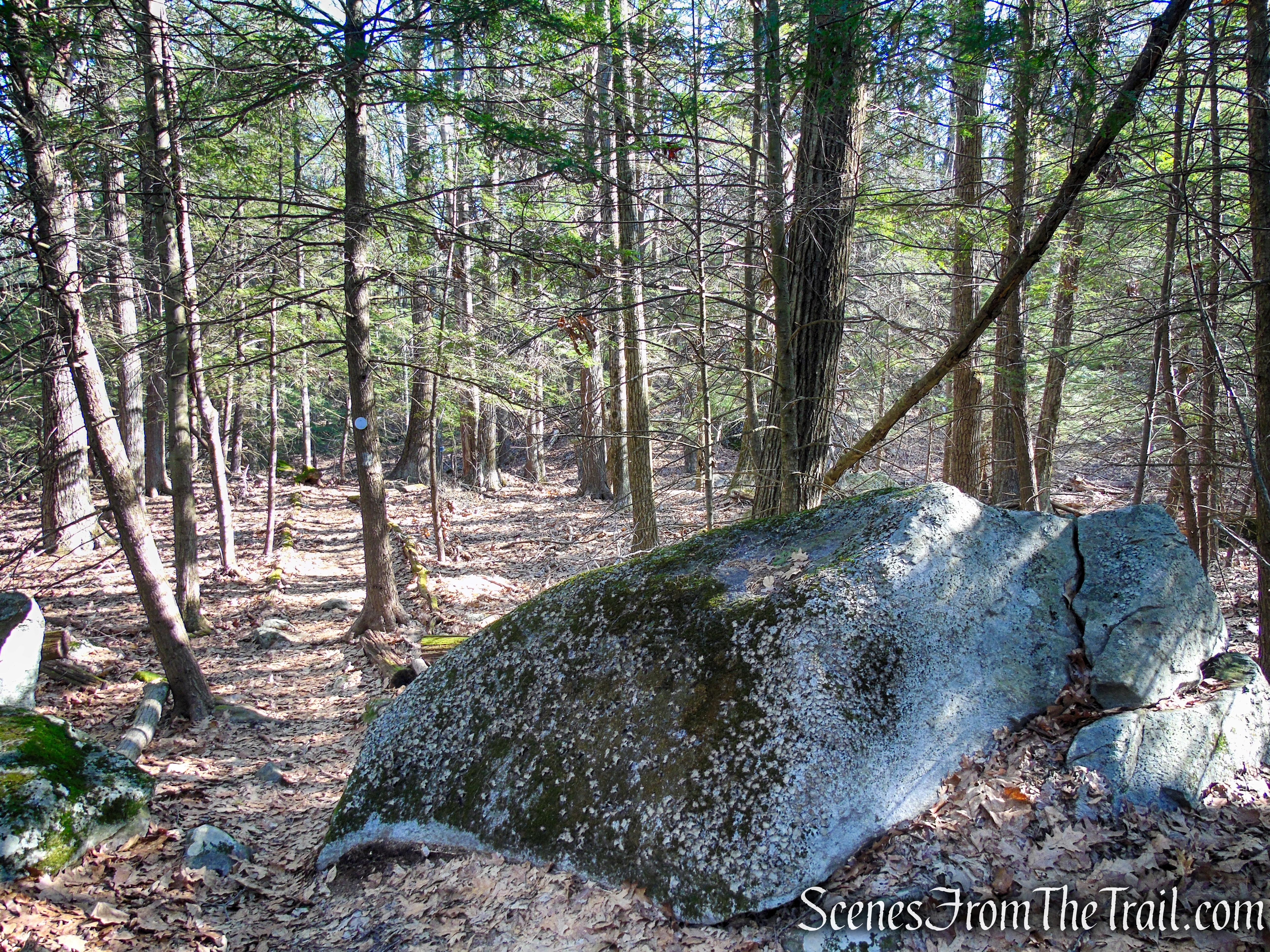 Mary Moore Lookout Trail - Sharon Land Trust