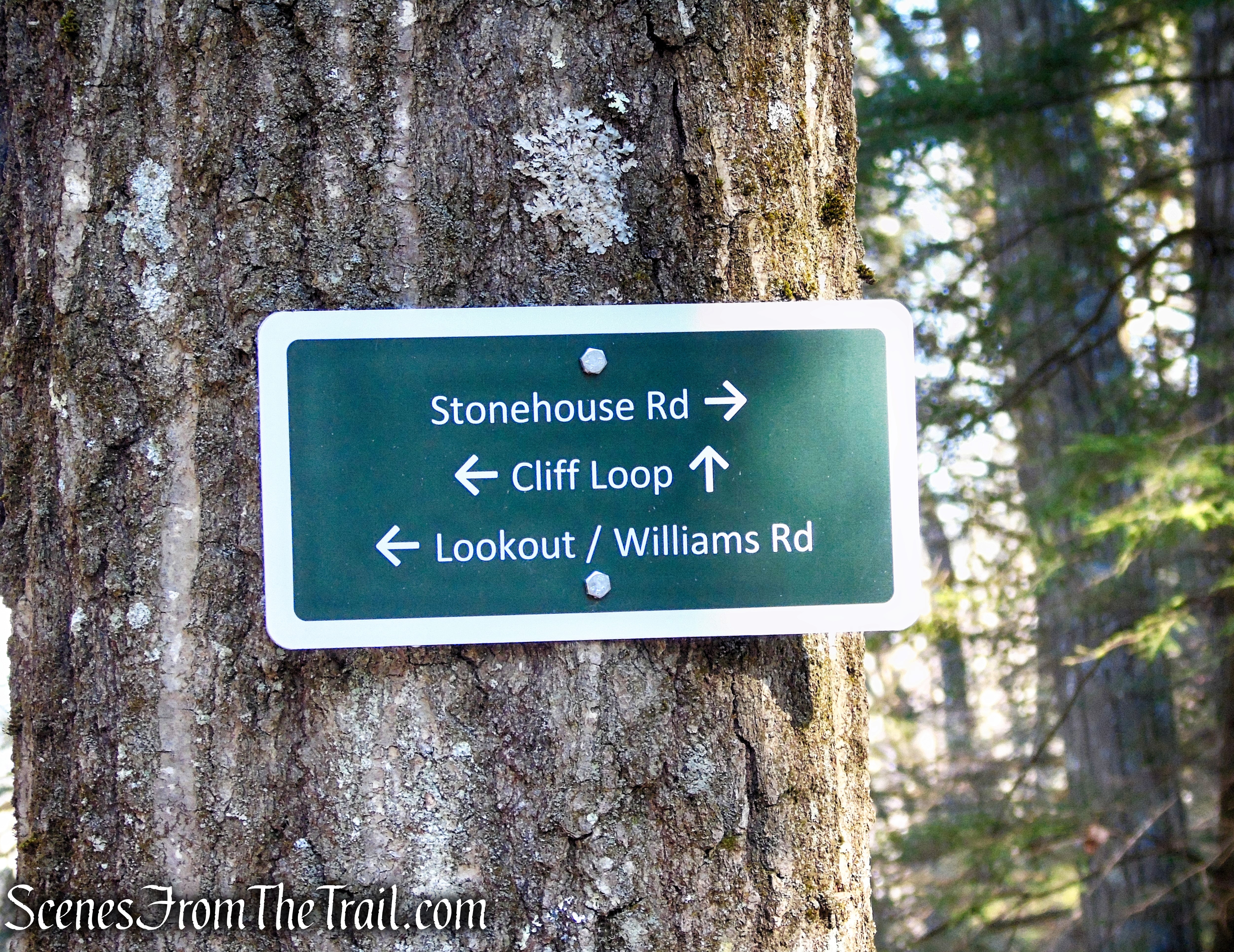 Mary Moore Lookout Trail - Sharon Land Trust