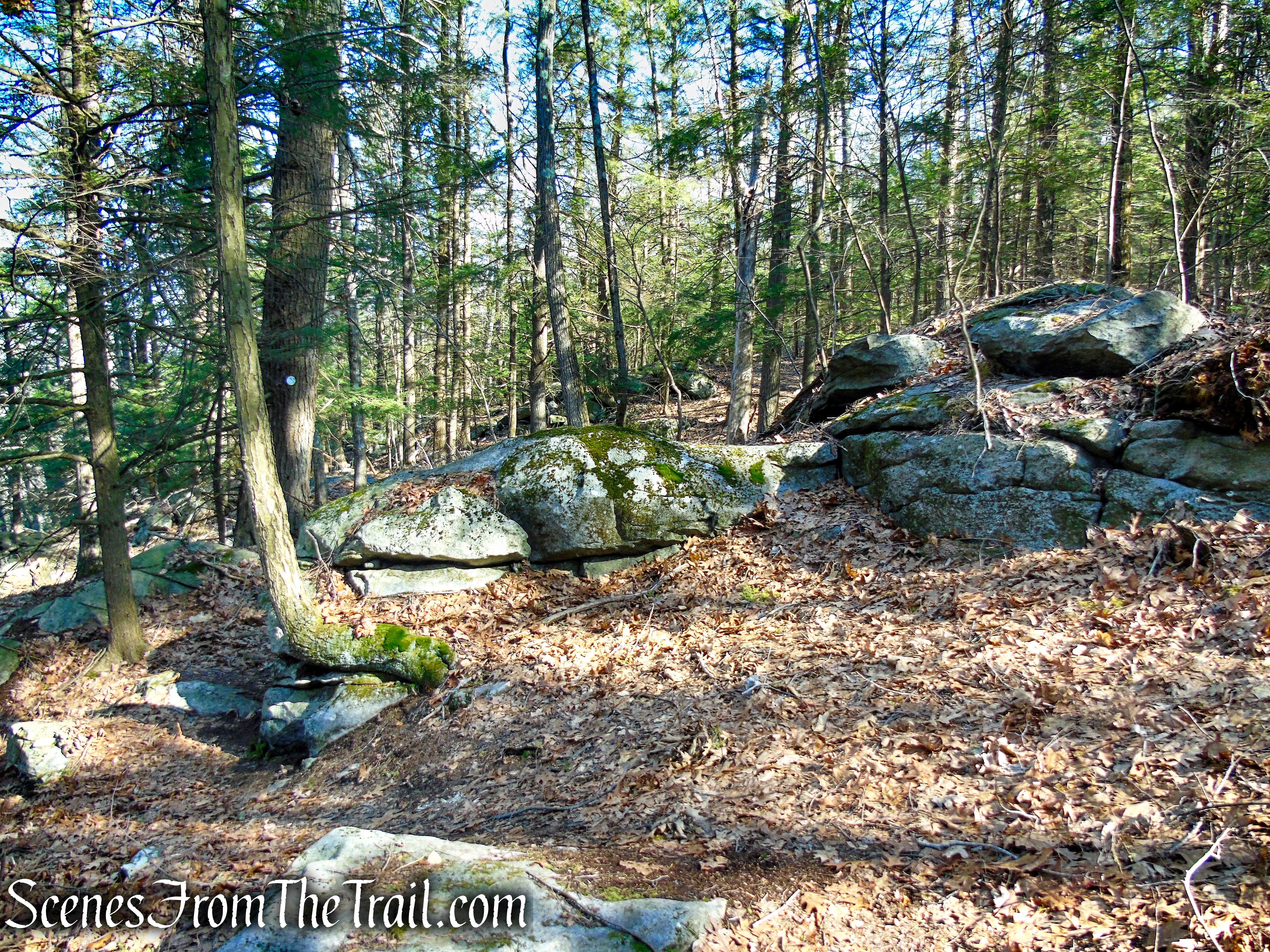 Mary Moore Lookout Trail - Sharon Land Trust