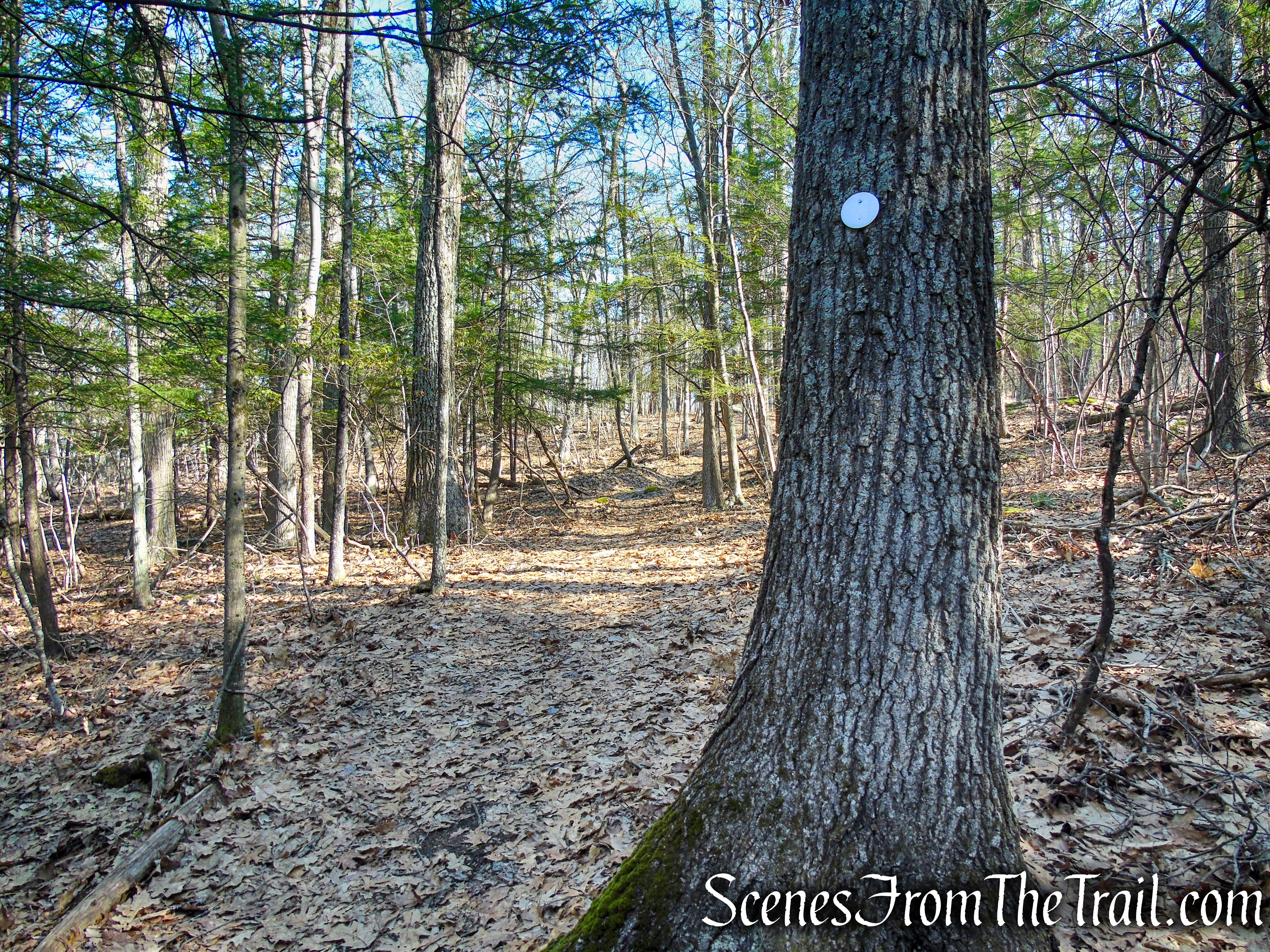 Mary Moore Lookout Trail - Sharon Land Trust