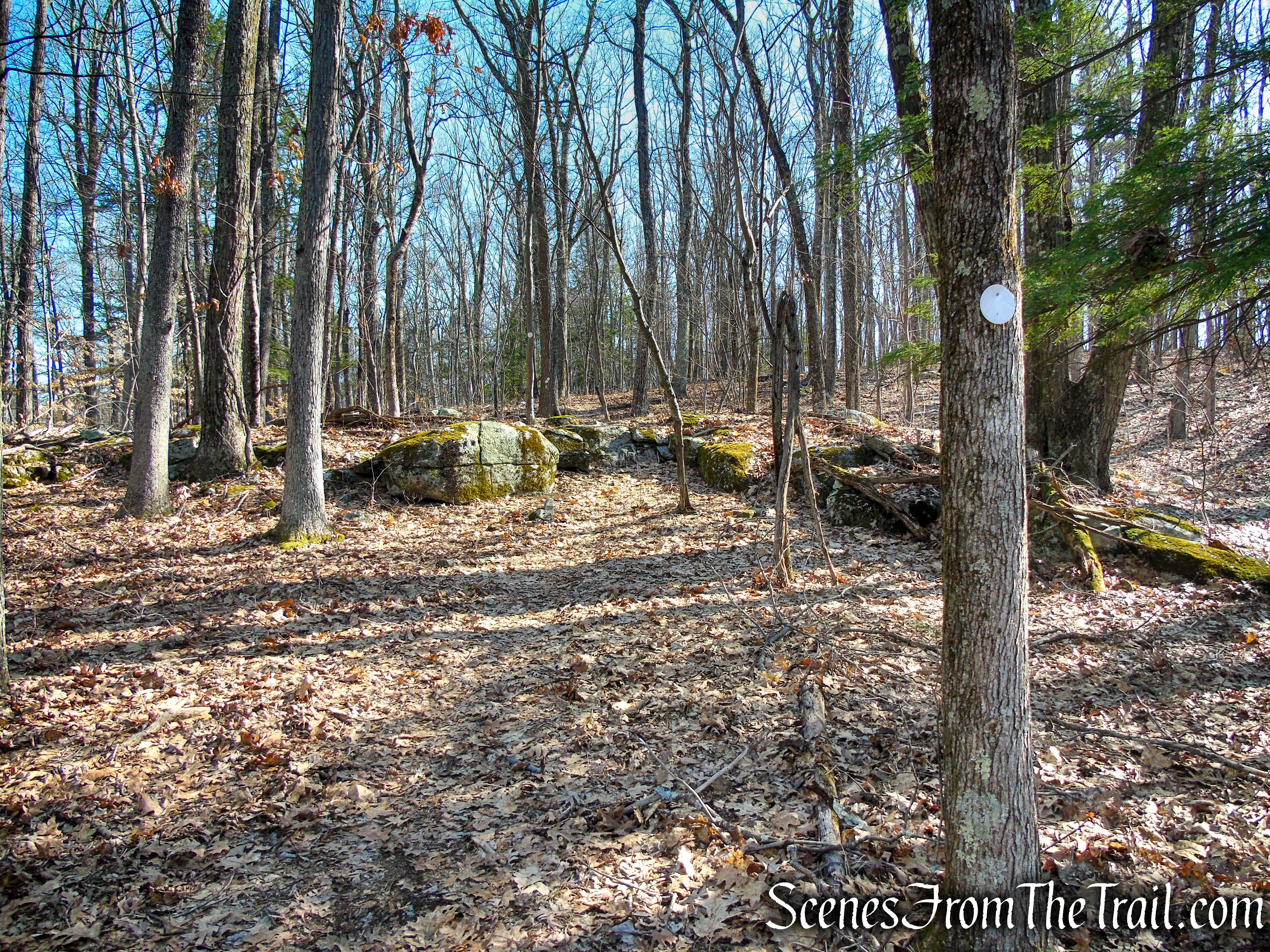 Mary Moore Lookout Trail - Sharon Land Trust