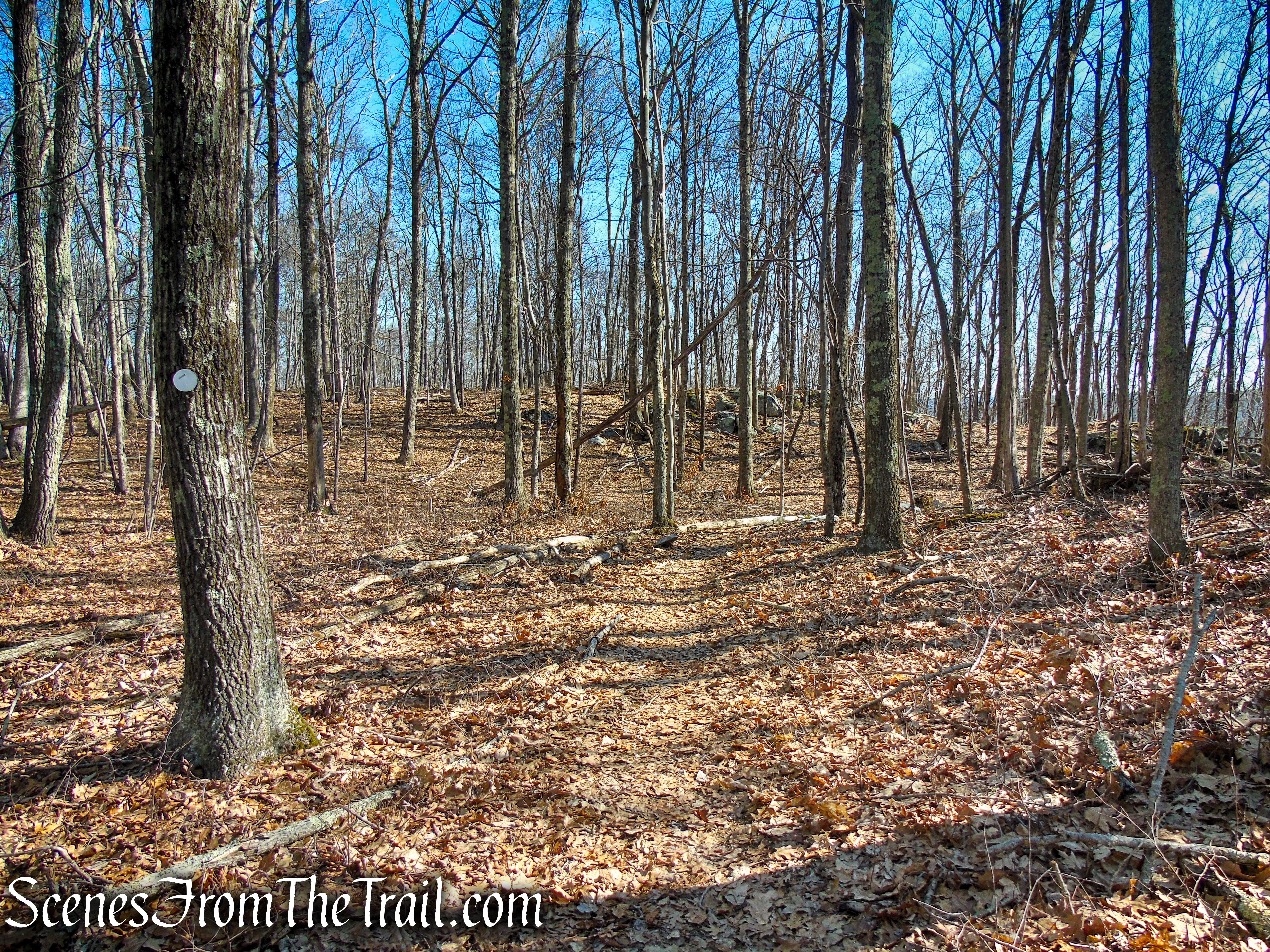 Mary Moore Lookout Trail - Sharon Land Trust