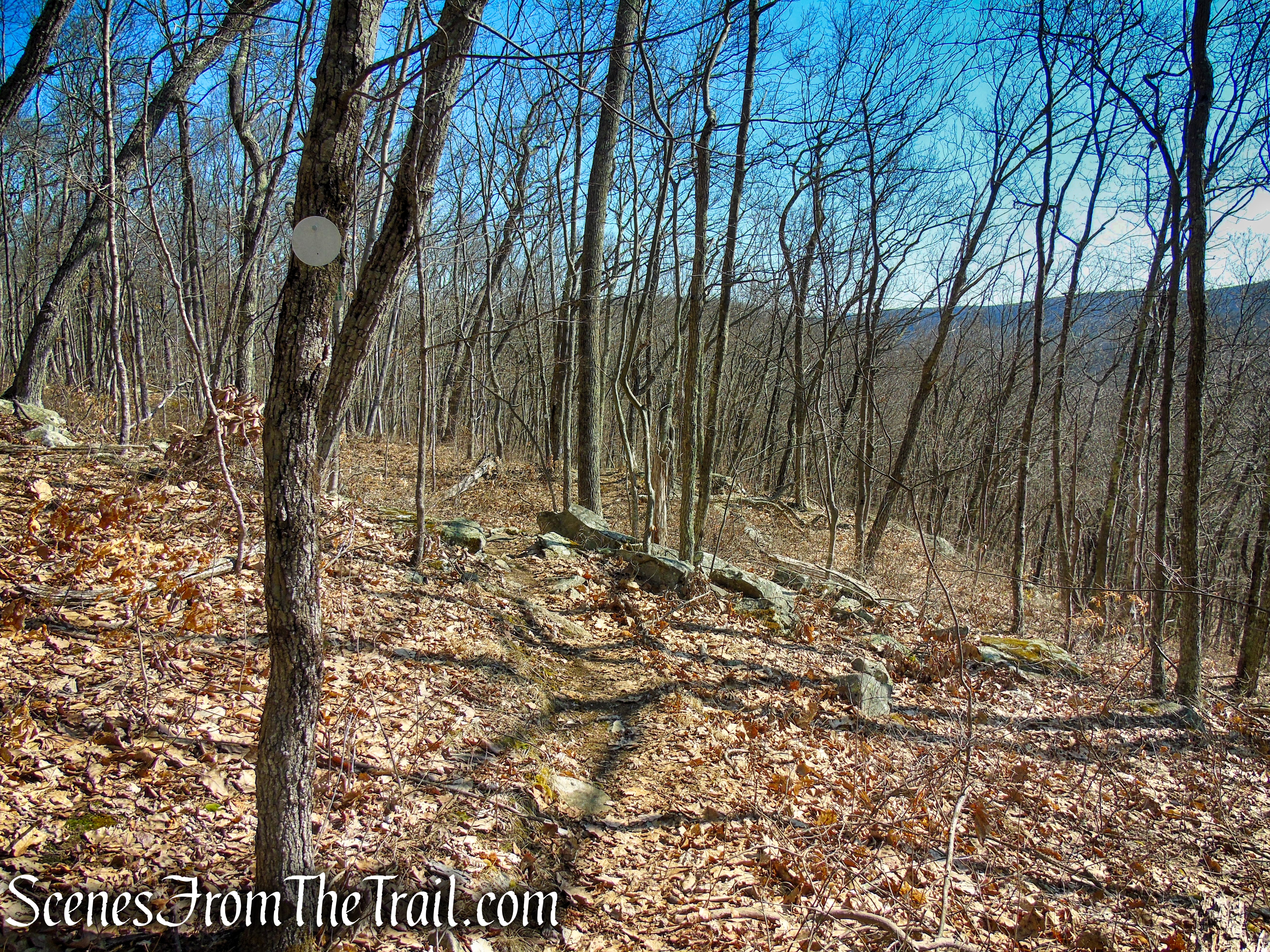 Wike Connector Trail - Sharon Land Trust