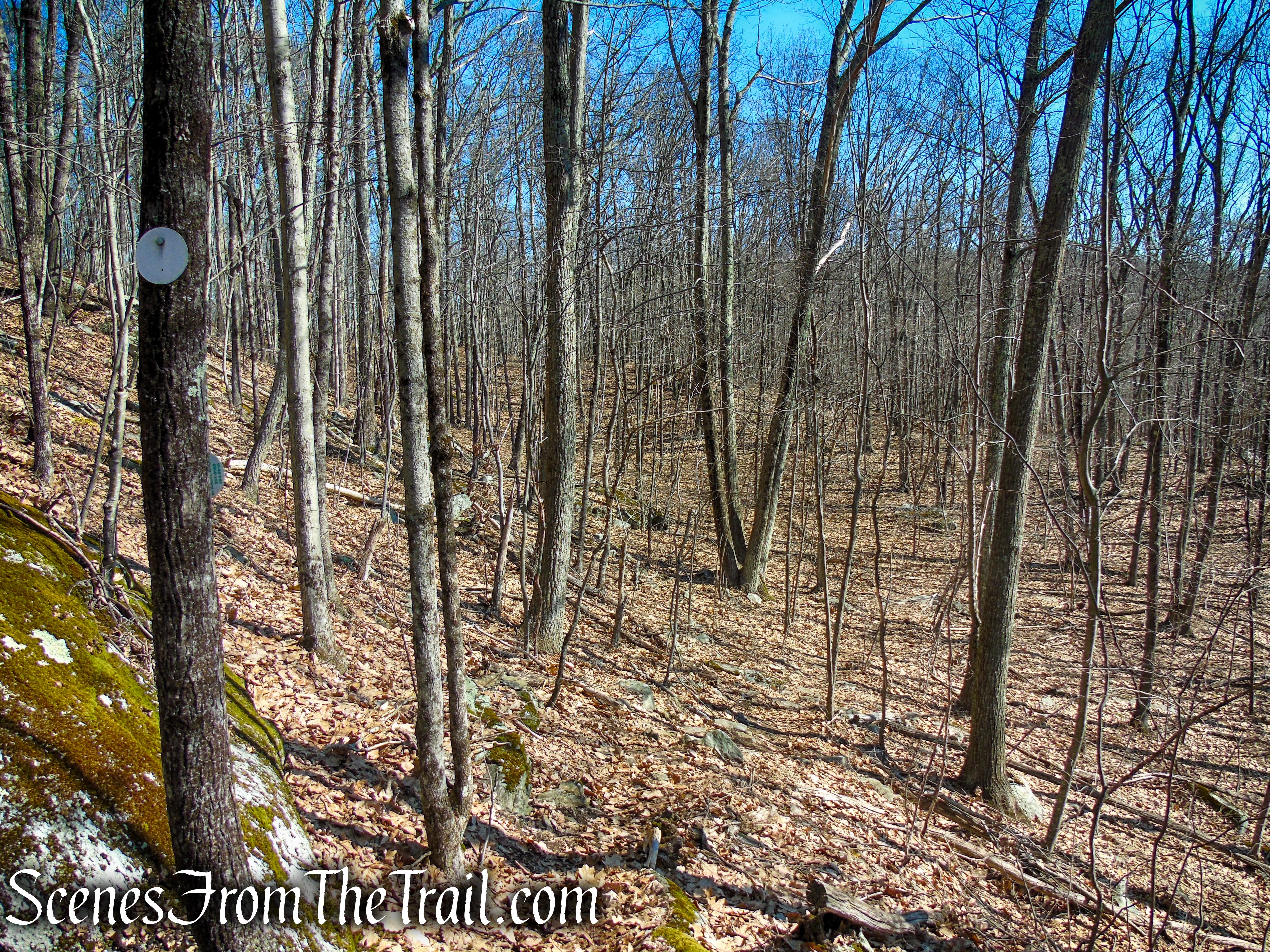 Wike Connector Trail - Sharon Land Trust
