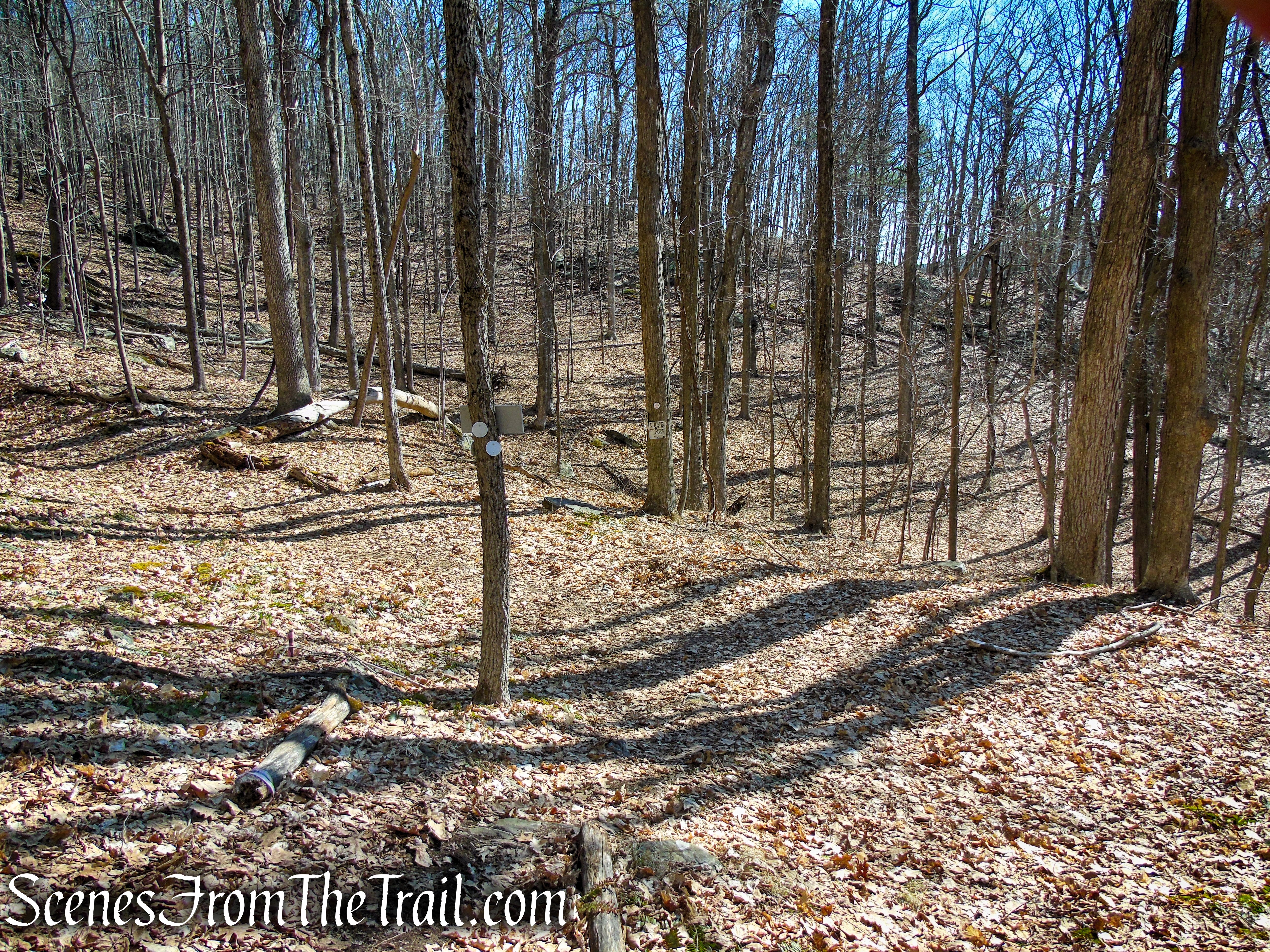 Wike Connector Trail - Sharon Land Trust