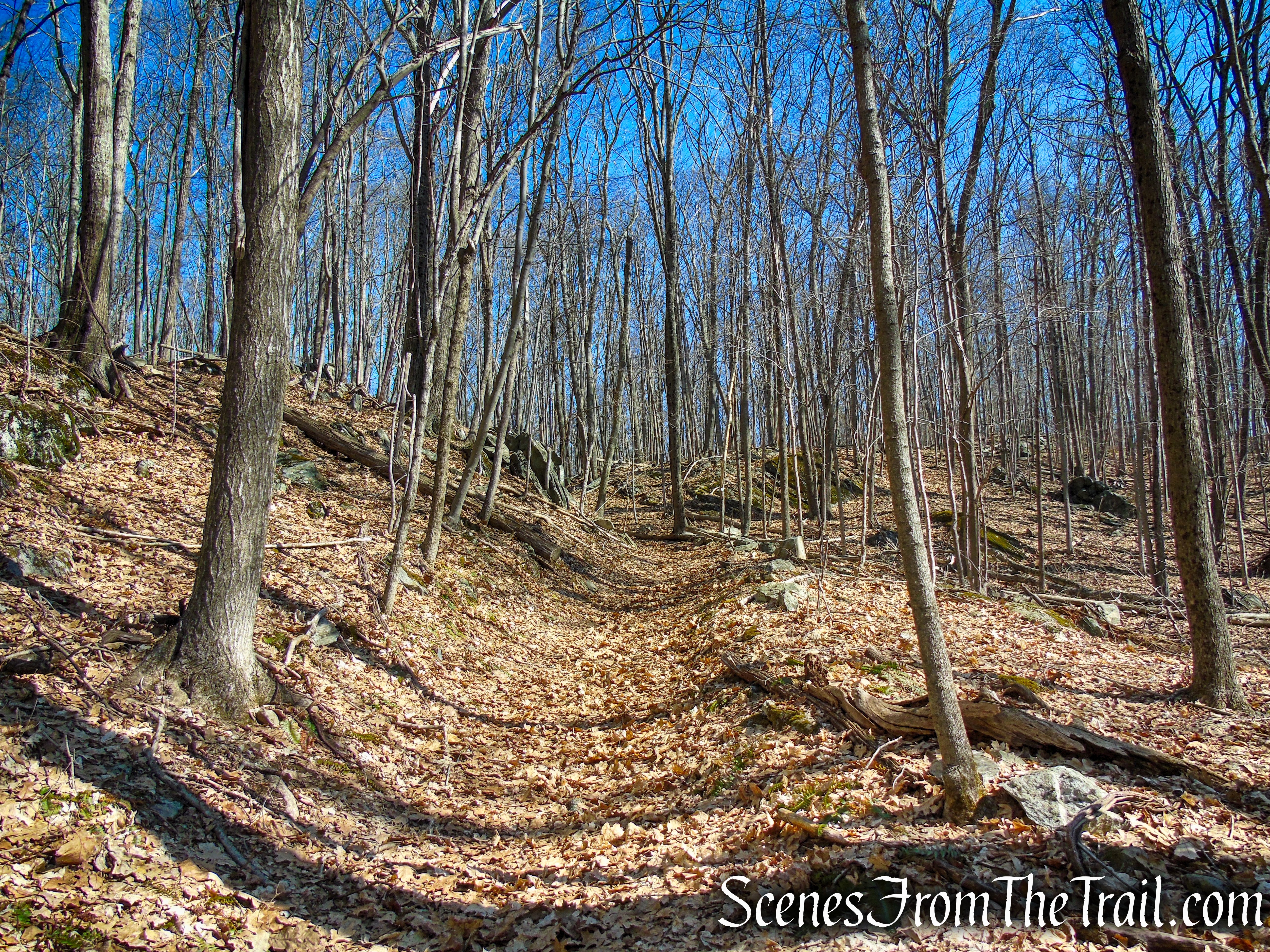 Hamlin Bear Trail - Sharon Land Trust