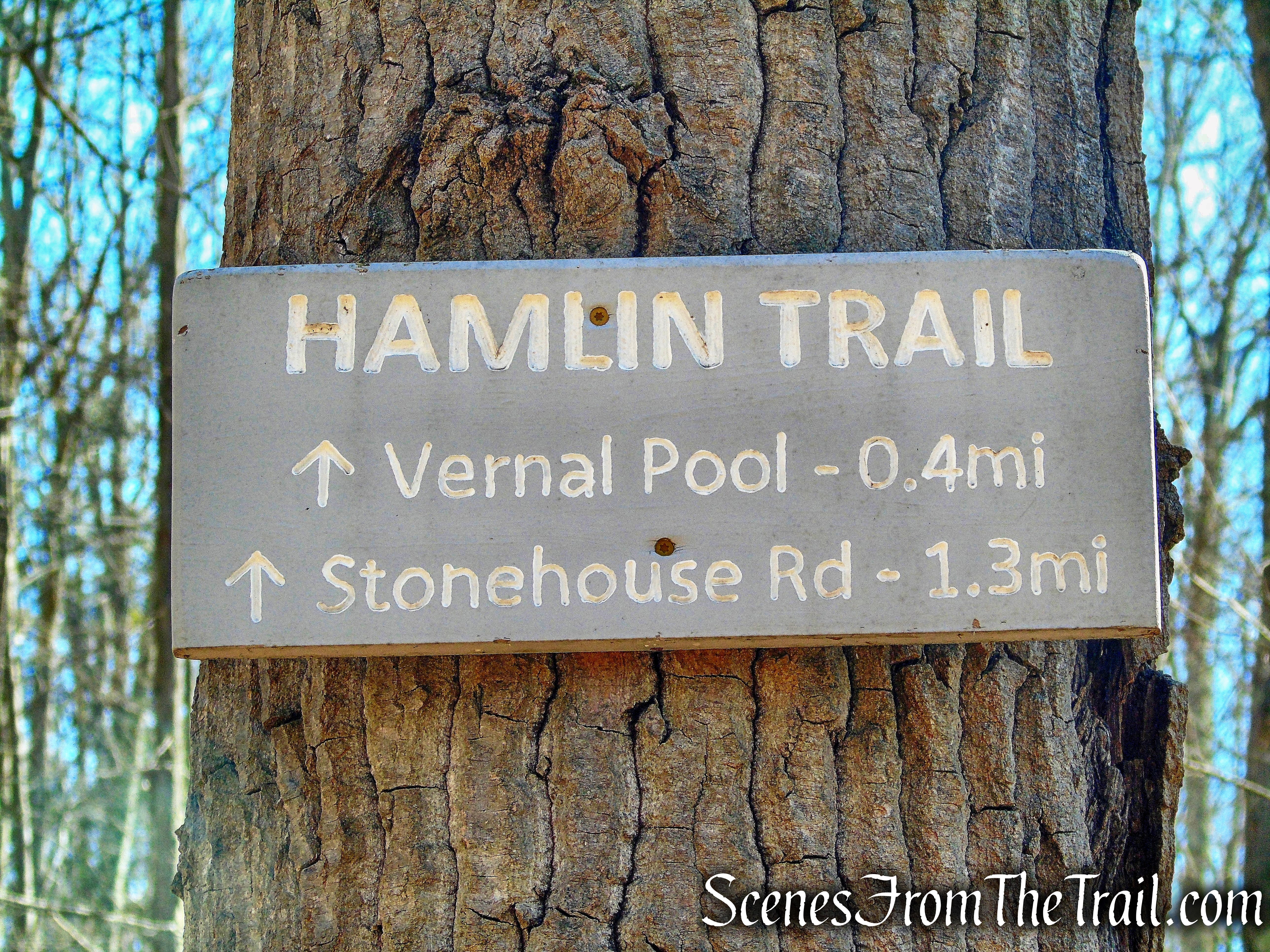 Hamlin Bear Trail - Sharon Land Trust