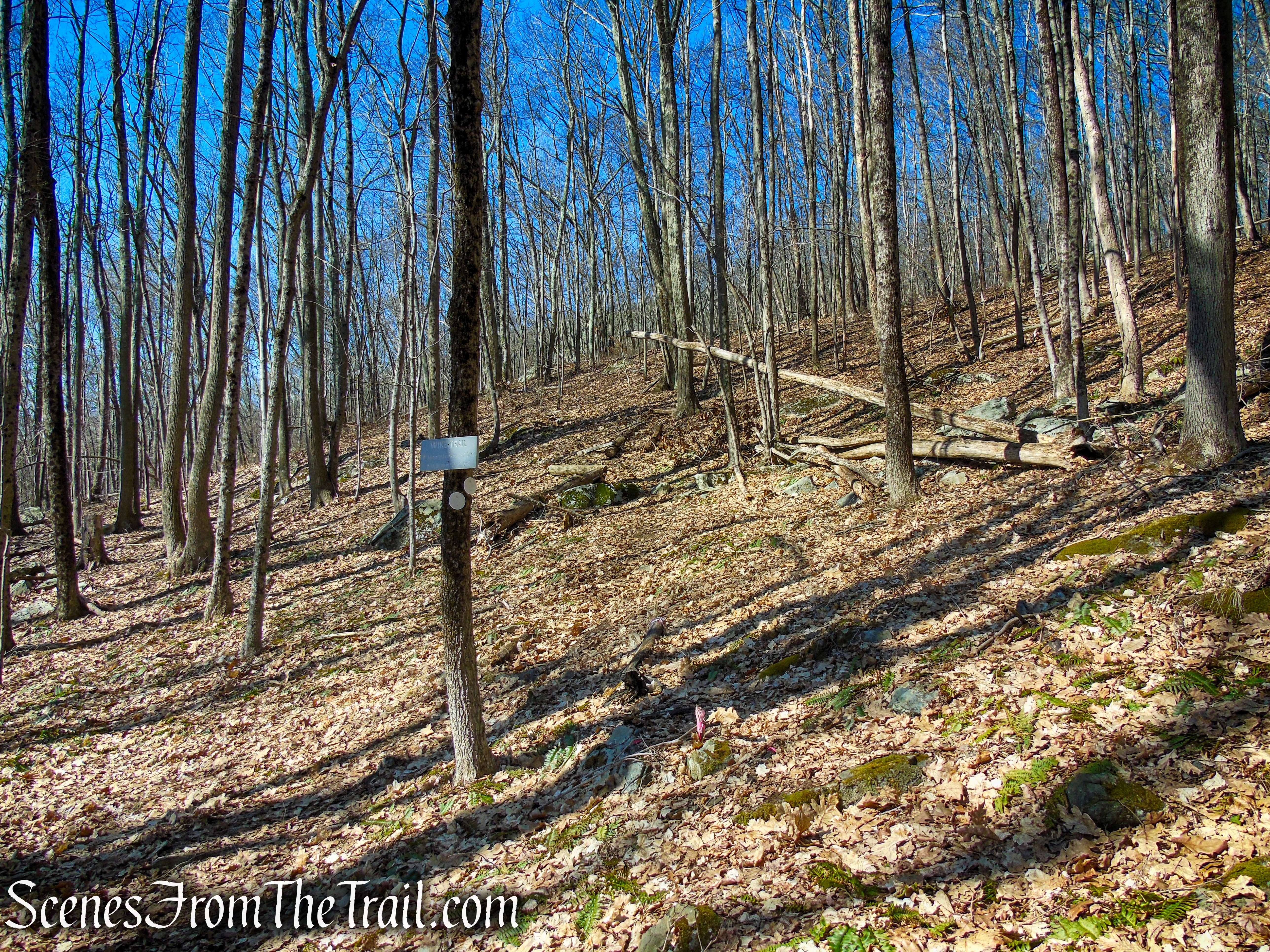 Hamlin Bear Trail - Sharon Land Trust