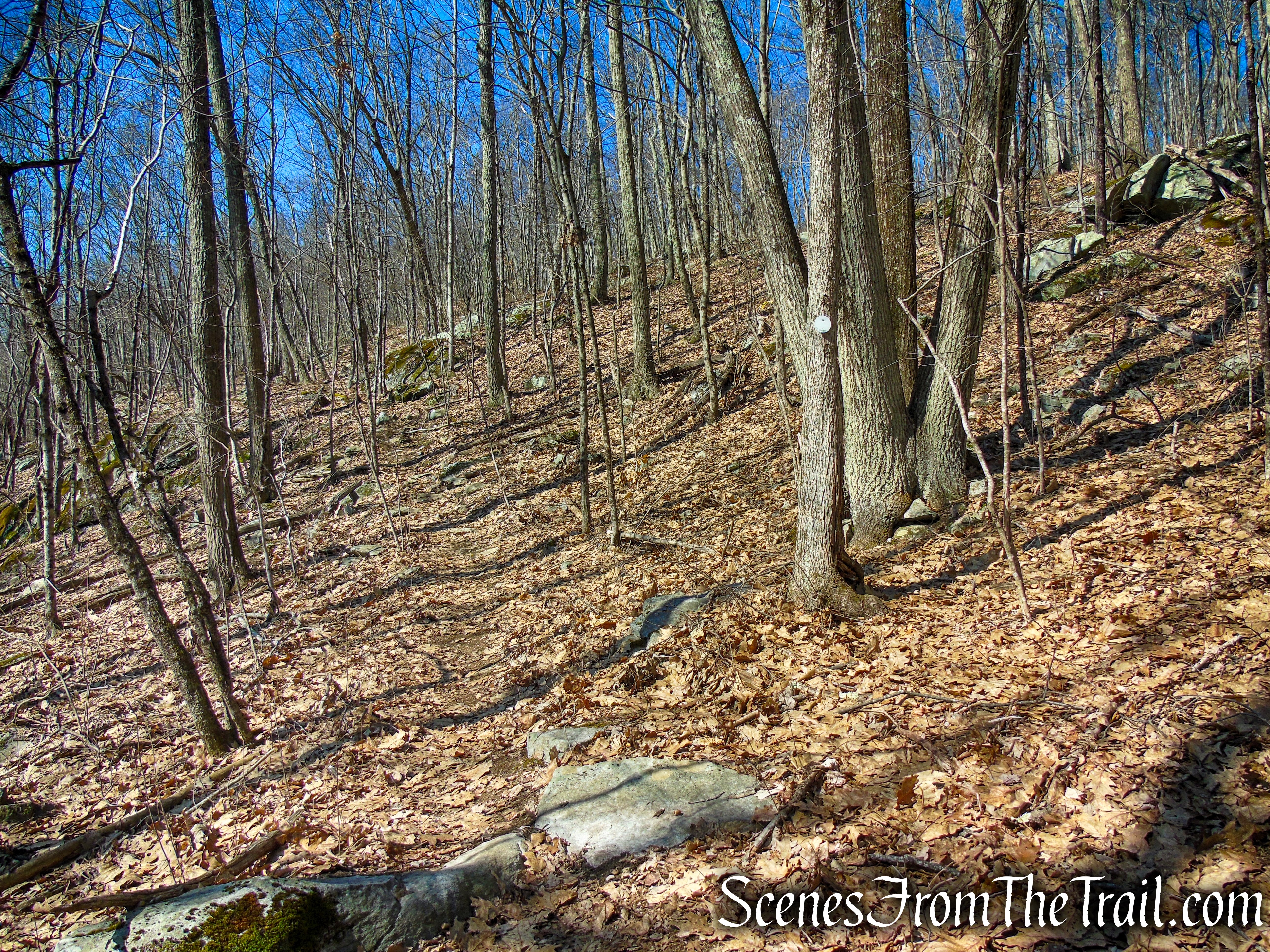 Wike Connector Trail - Sharon Land Trust