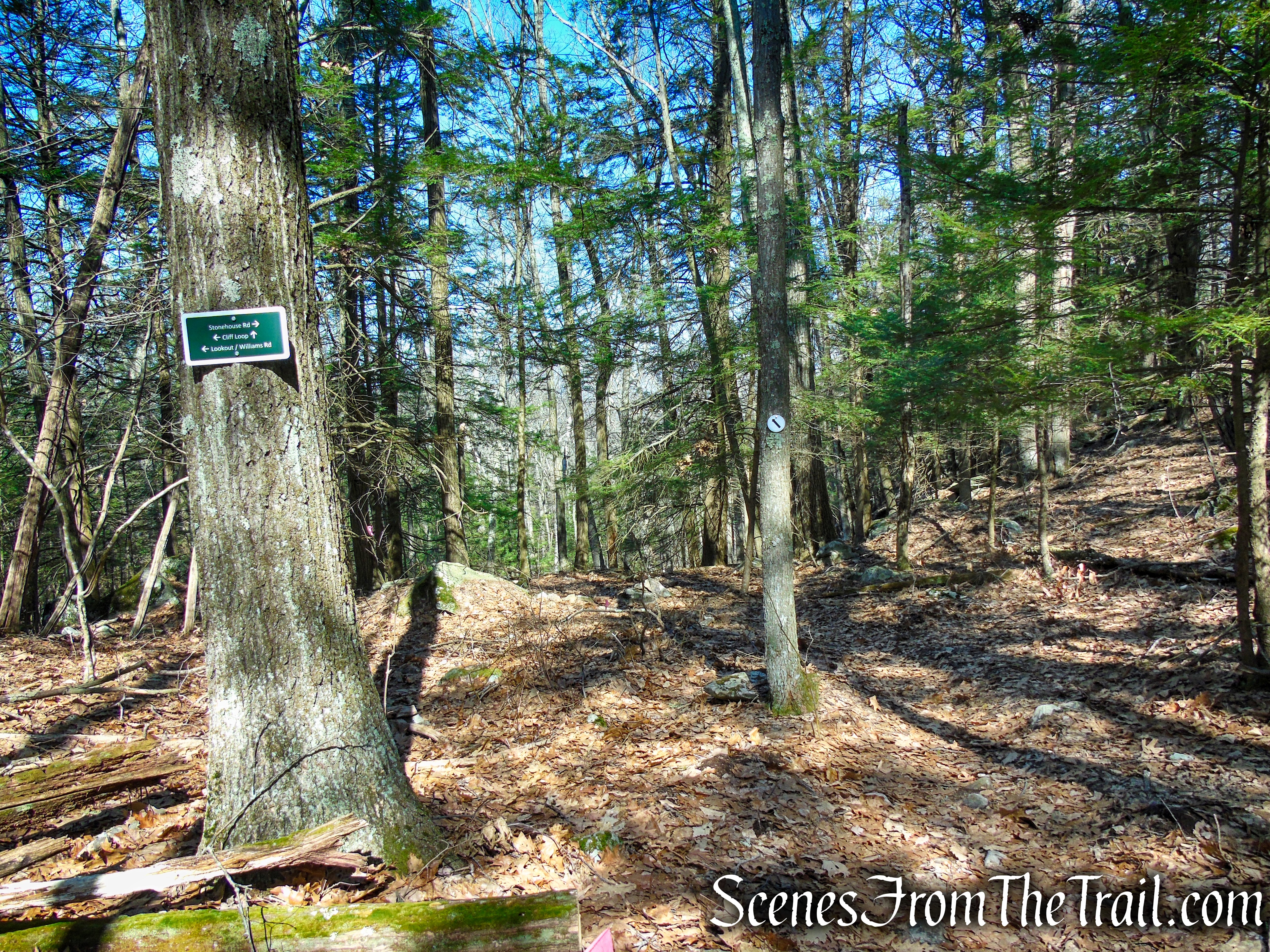 Cliff Loop Extension - Sharon Land Trust