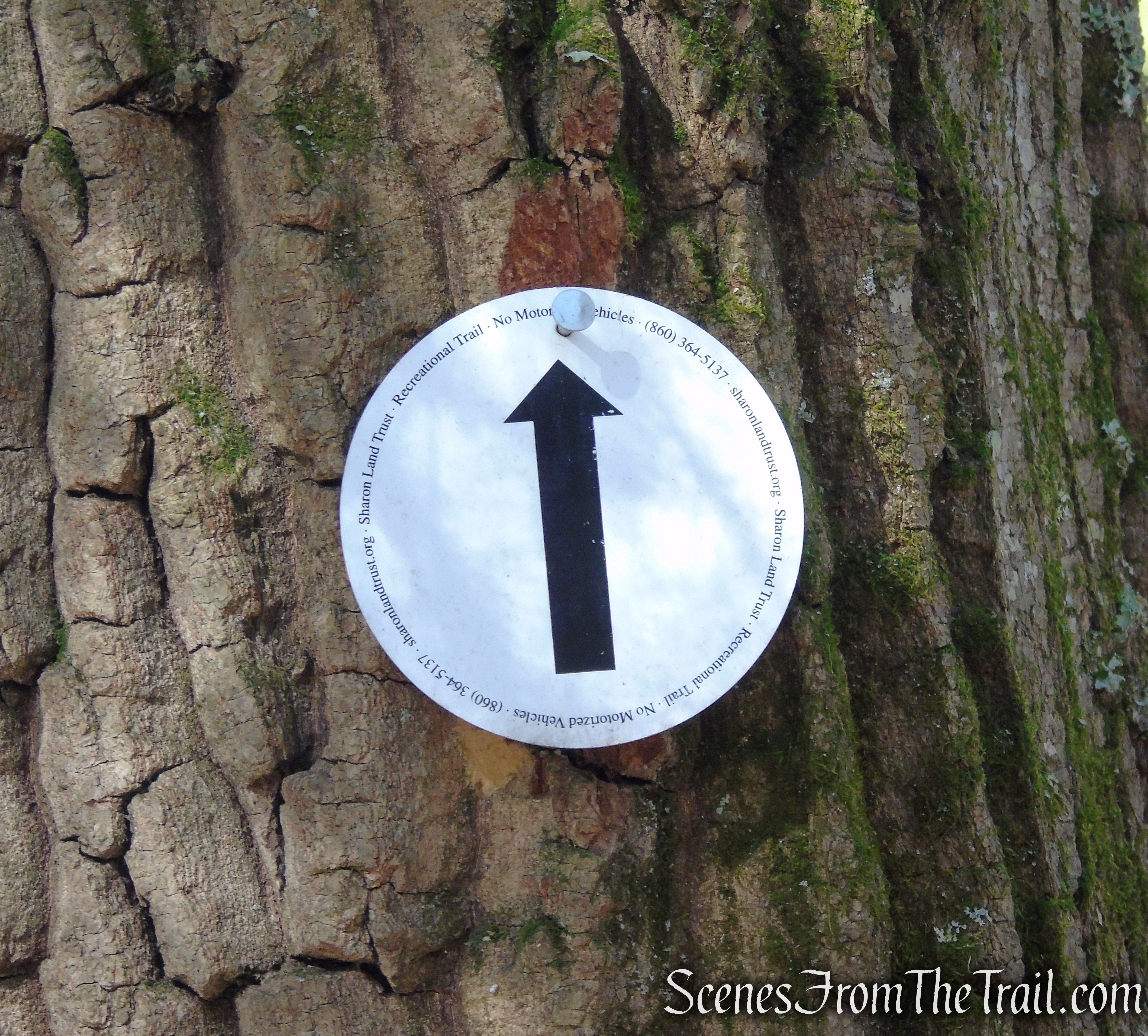 Cliff Loop Extension - Red Mountain Trails